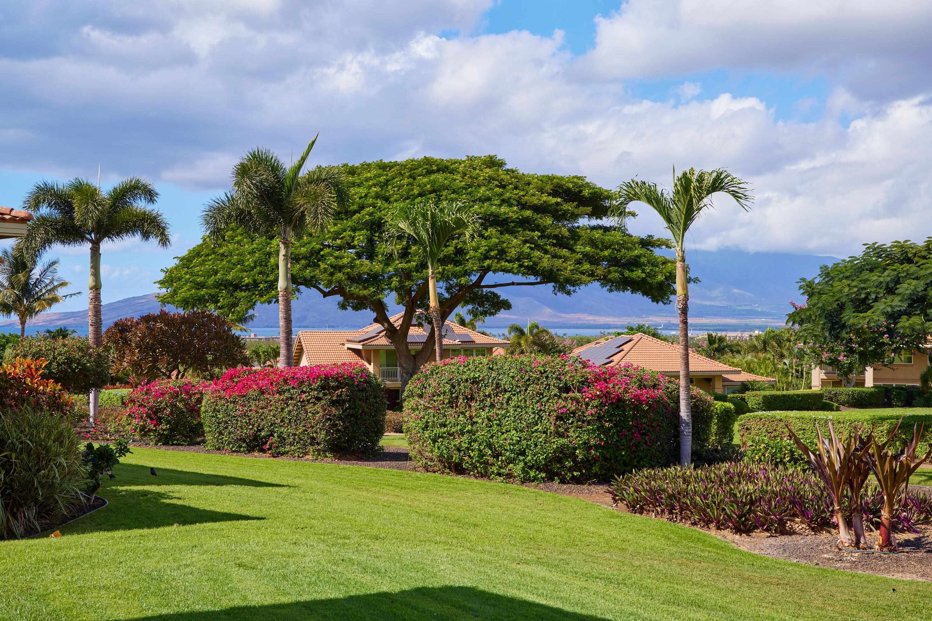 1294 Hihimanu St, 138, Kihei, HI 96753