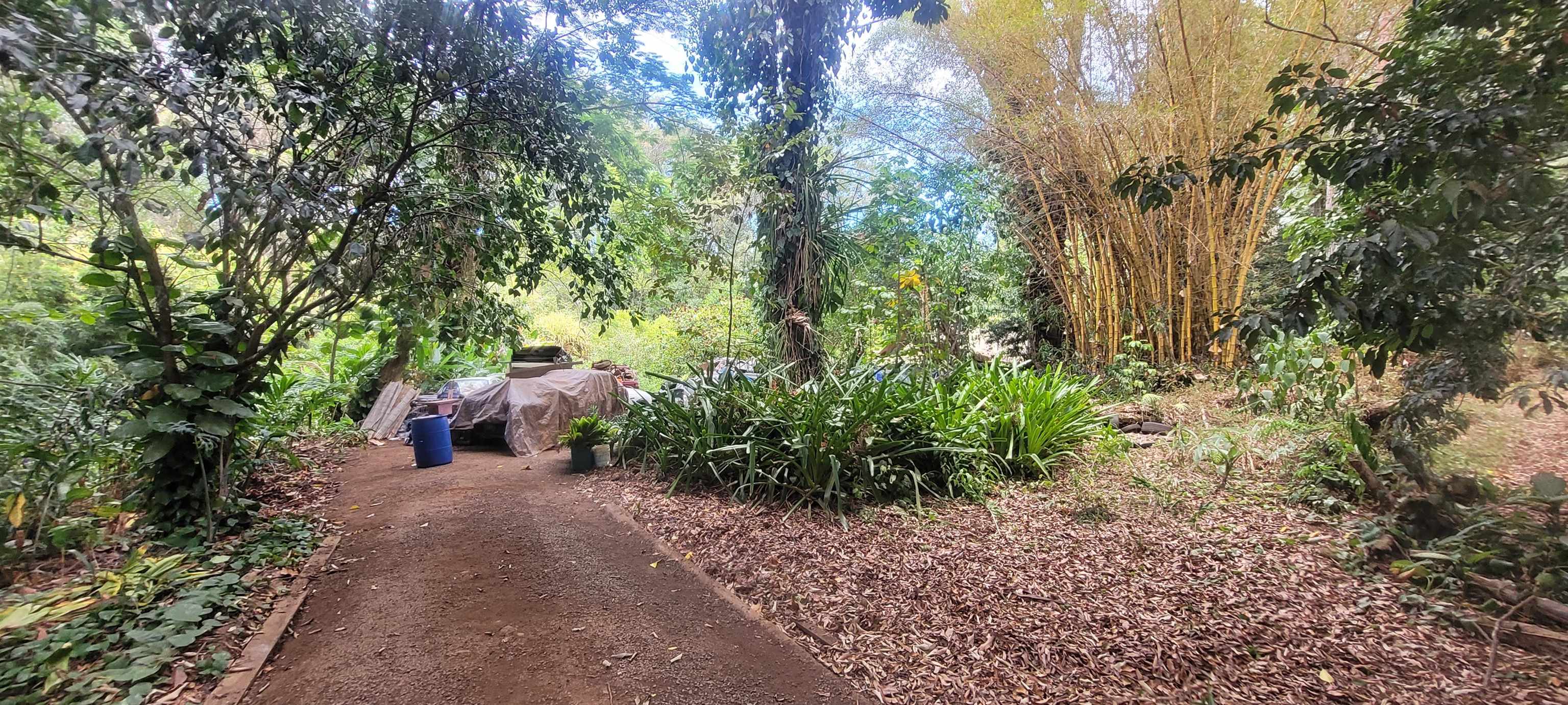 1448 Kuiaha St, Haiku, HI 96732