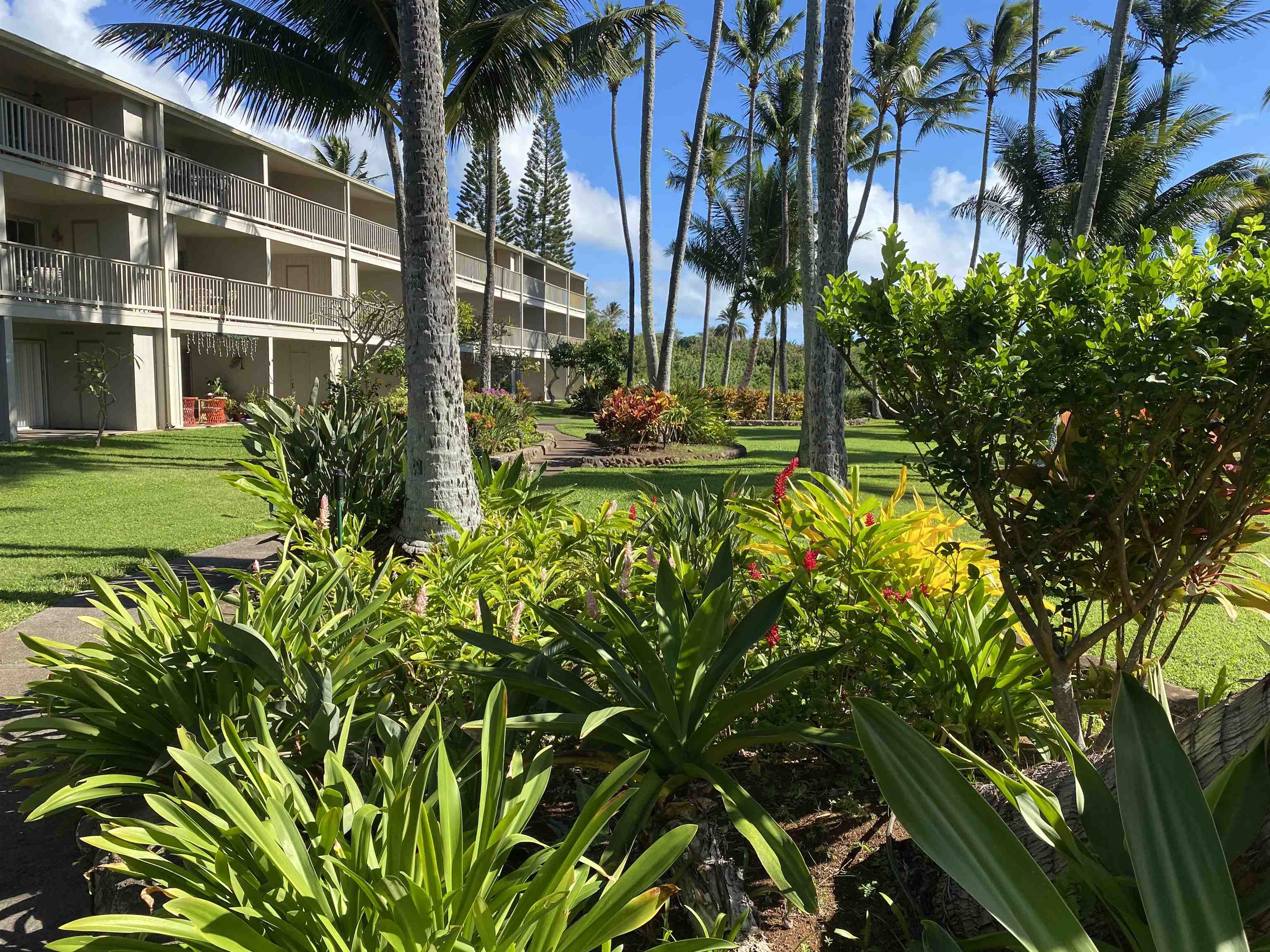 7146 Kamehameha V Hwy, C-213, Kaunakakai, HI 96748