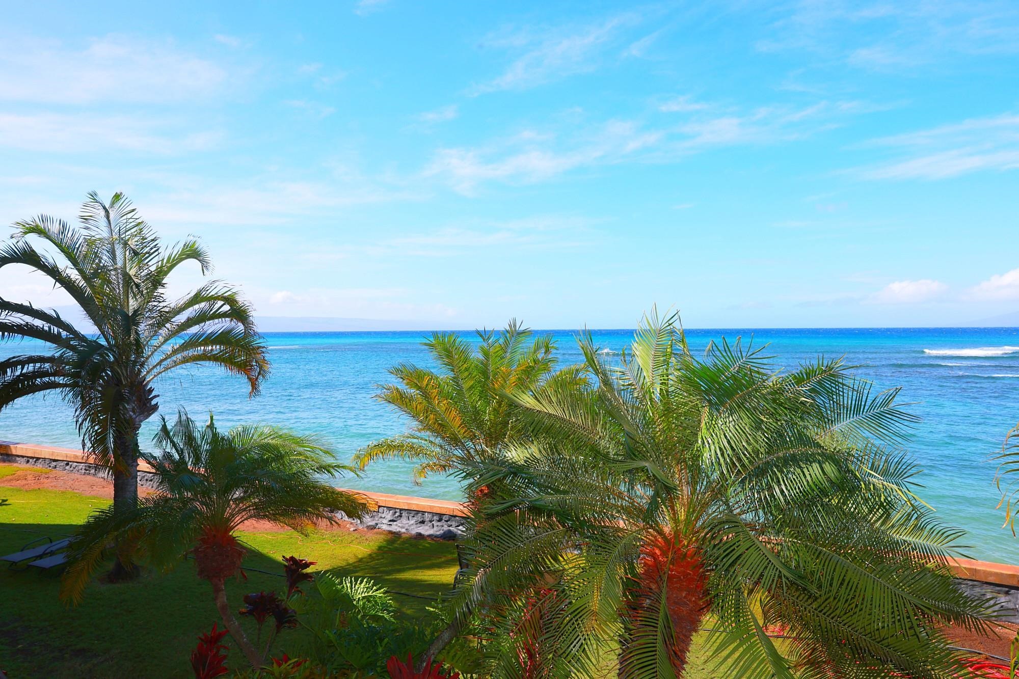 4435 Lower Honoapiilani Rd, 205, Lahaina, HI 96761