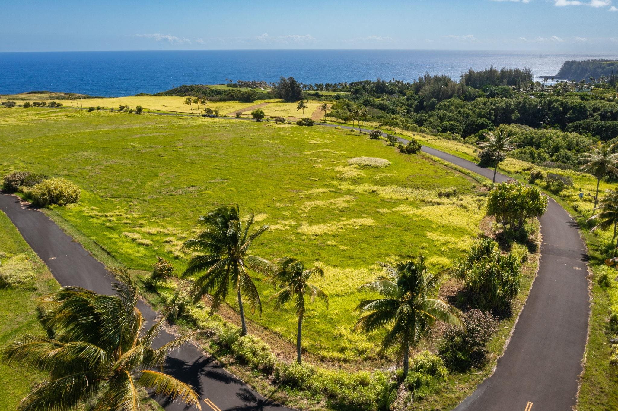 580 Kai Huki Cir, B, Haiku, HI 96708