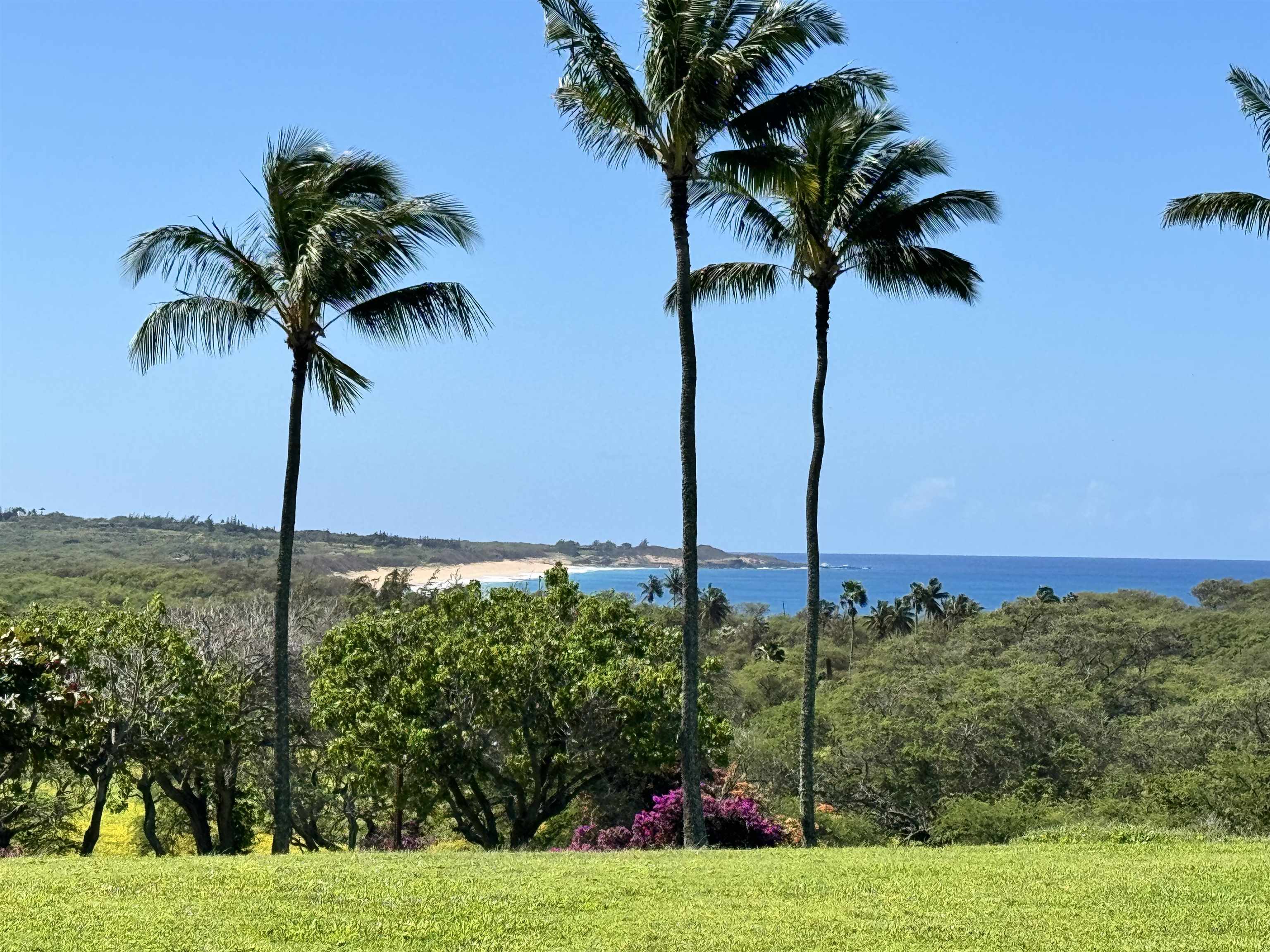 50 Kepuhi Pl, 121, Maunaloa, HI 96770