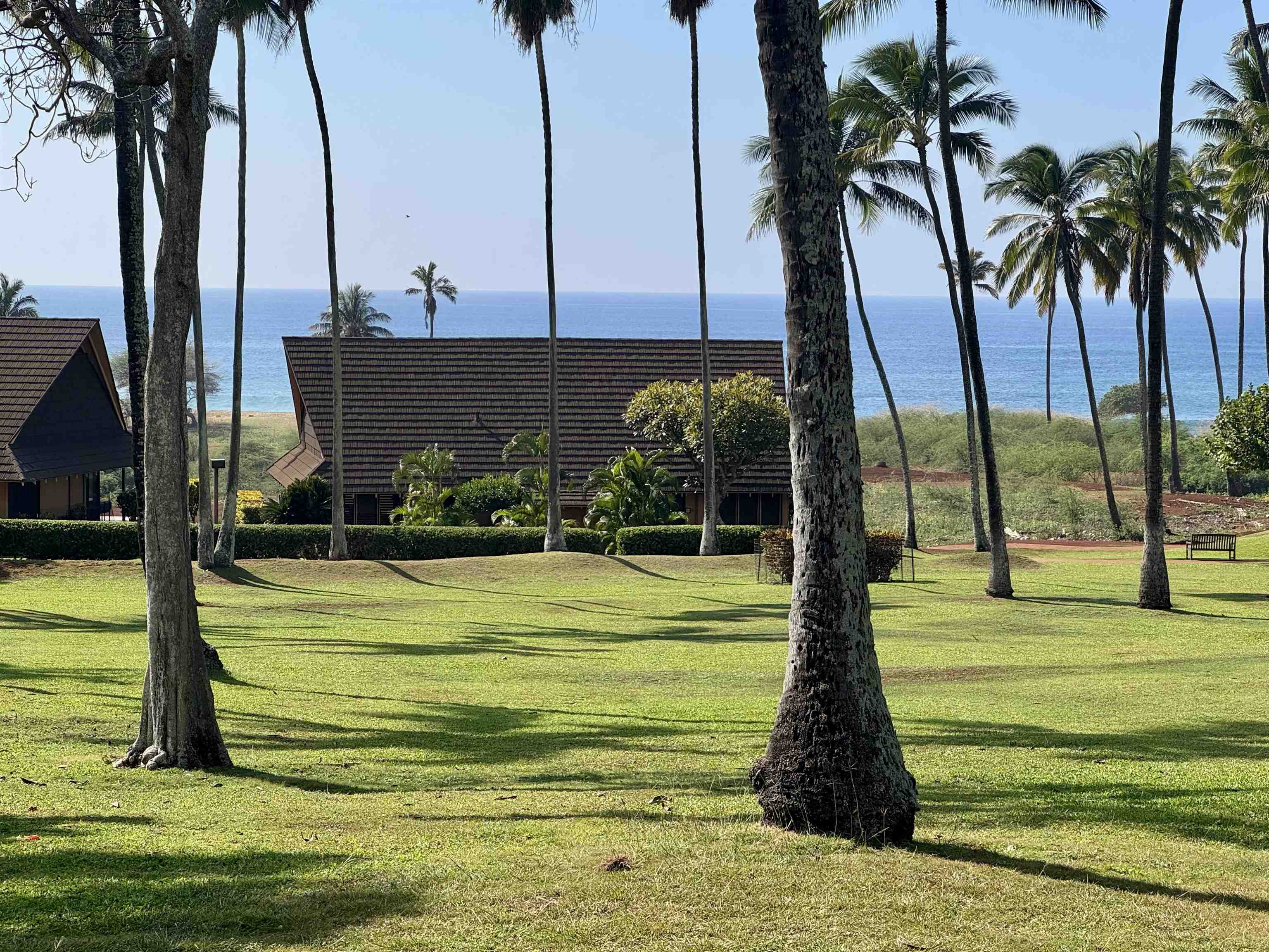 255 Kepuhi Pl, 16B02, Maunaloa, HI 96770