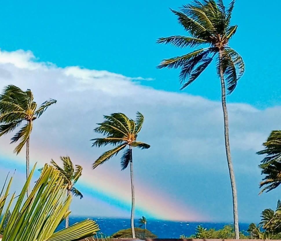 120 Hui Rd F , I16, Lahaina, HI 96761