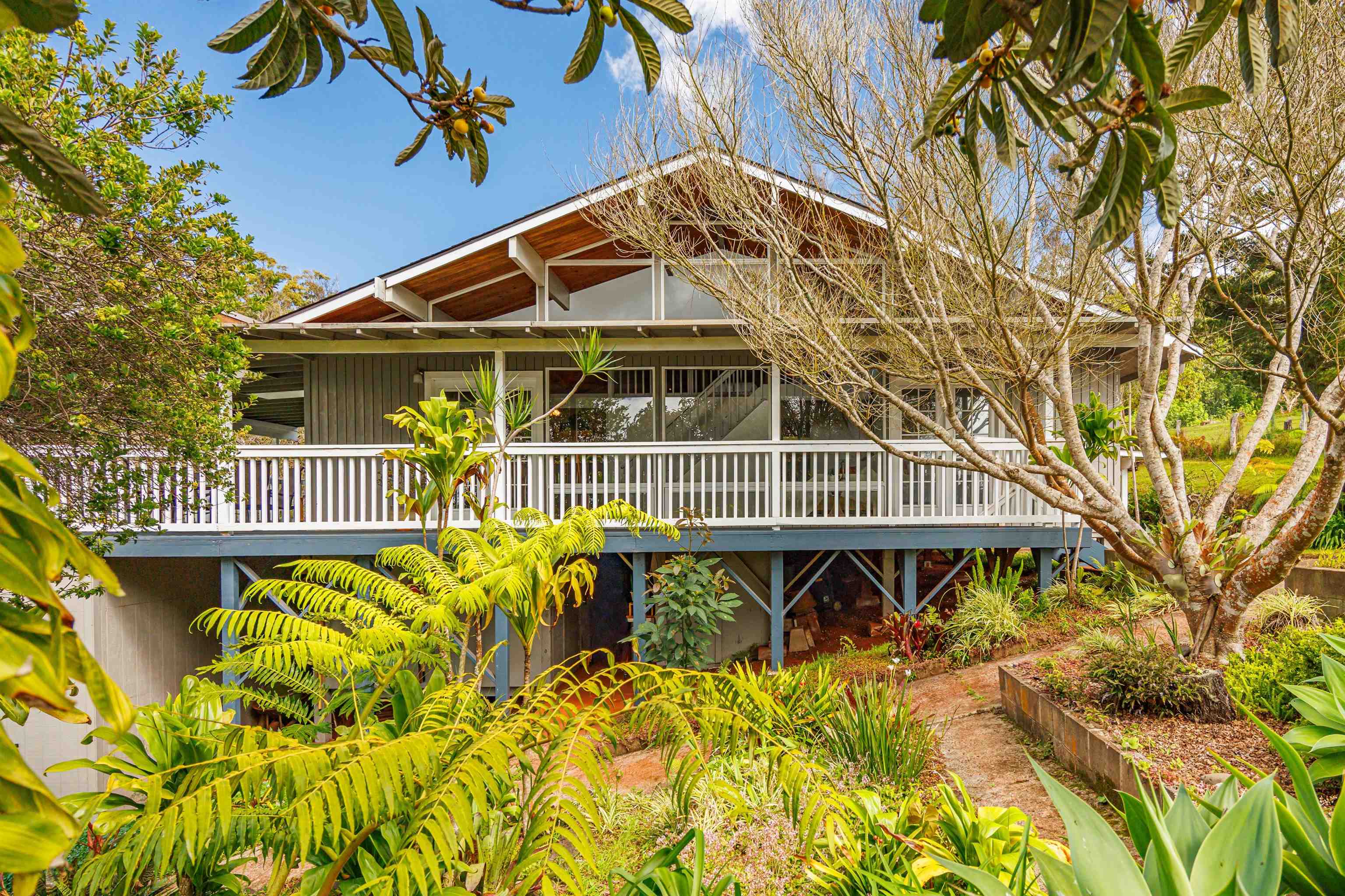 113 Ehu Iki Pl, Makawao, HI 96768