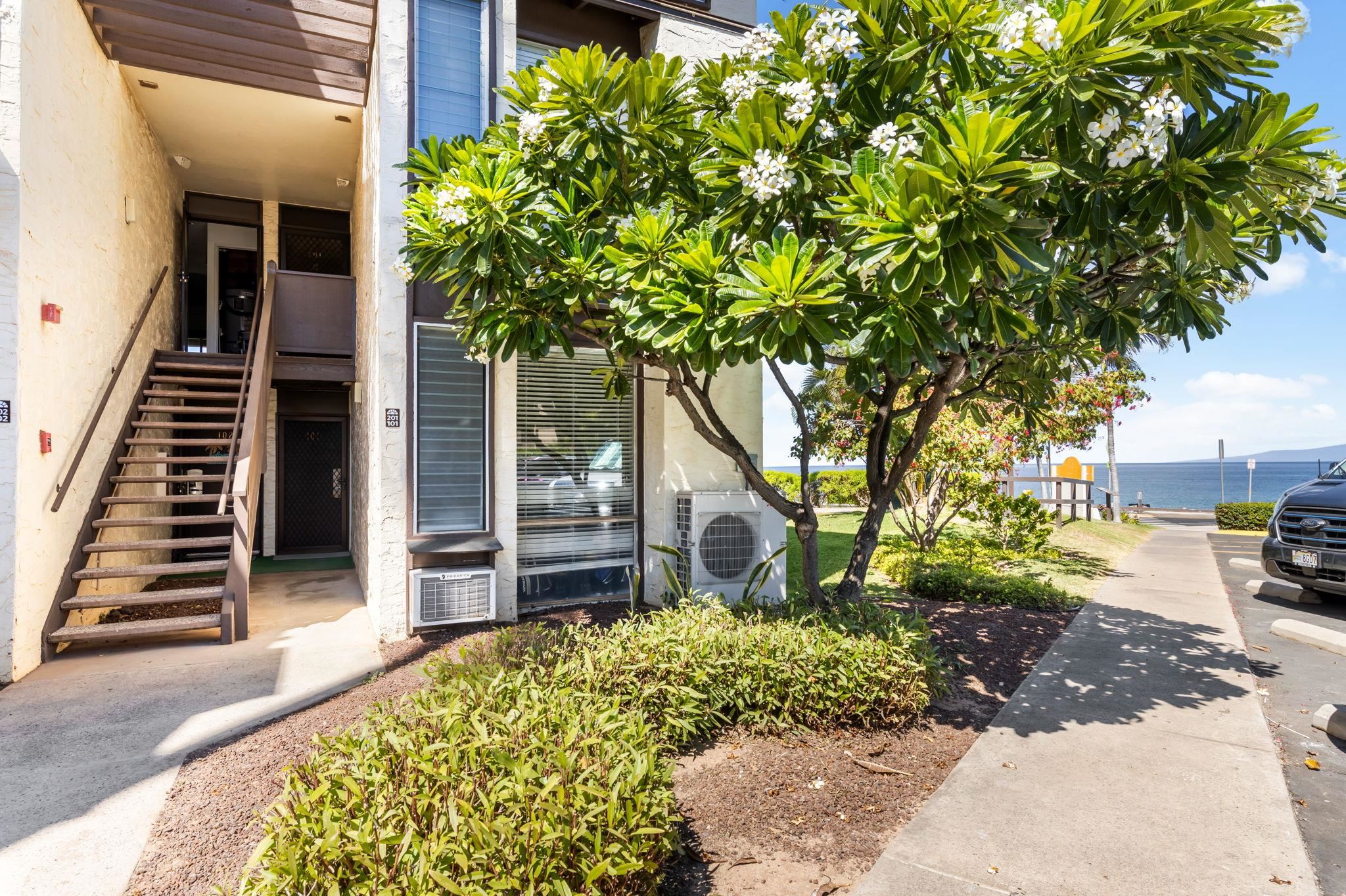 2737 Kihei Rd, 1-102, Kihei, HI 96753