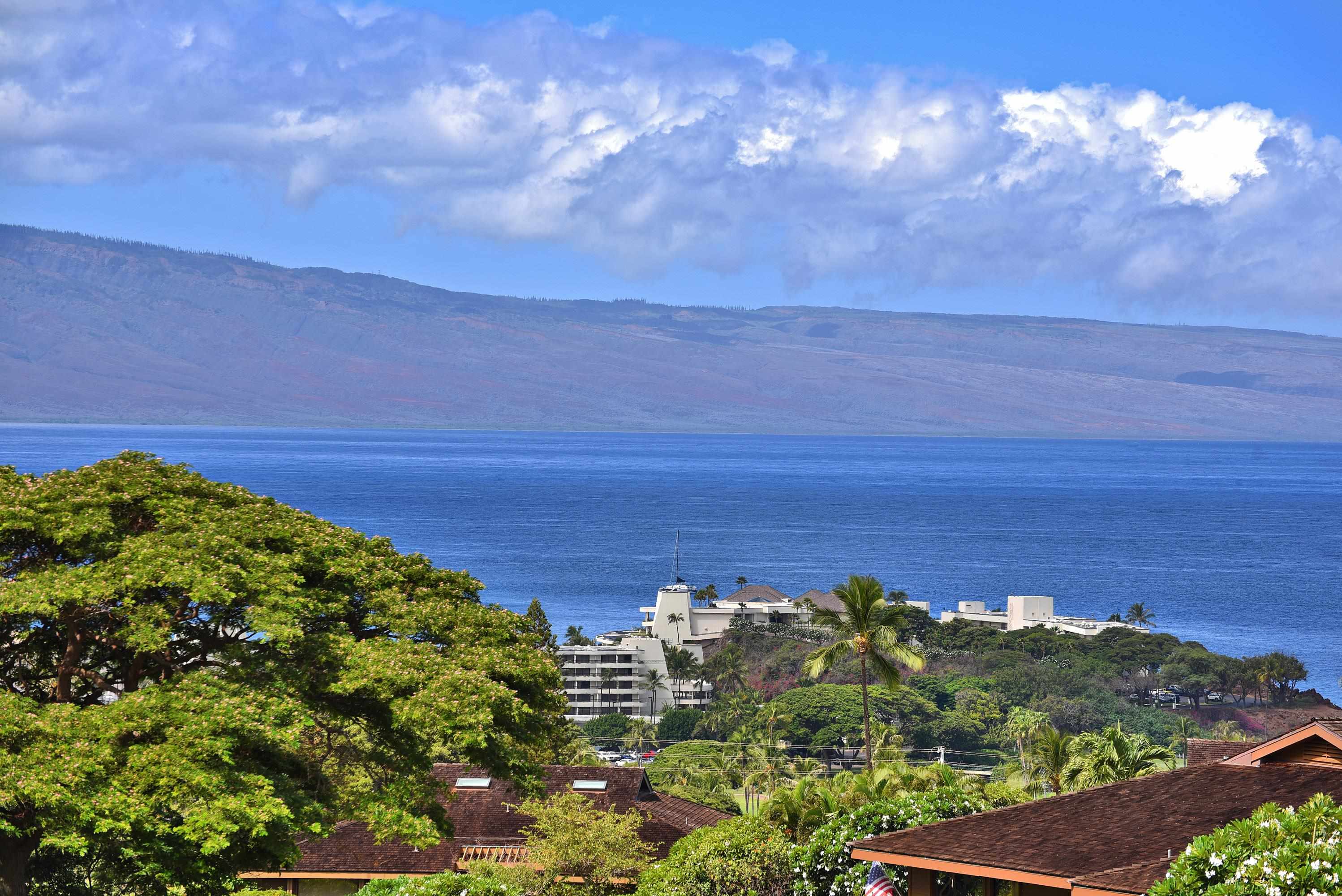 50 Puu Anoano St, 1904, Lahaina, HI 96761