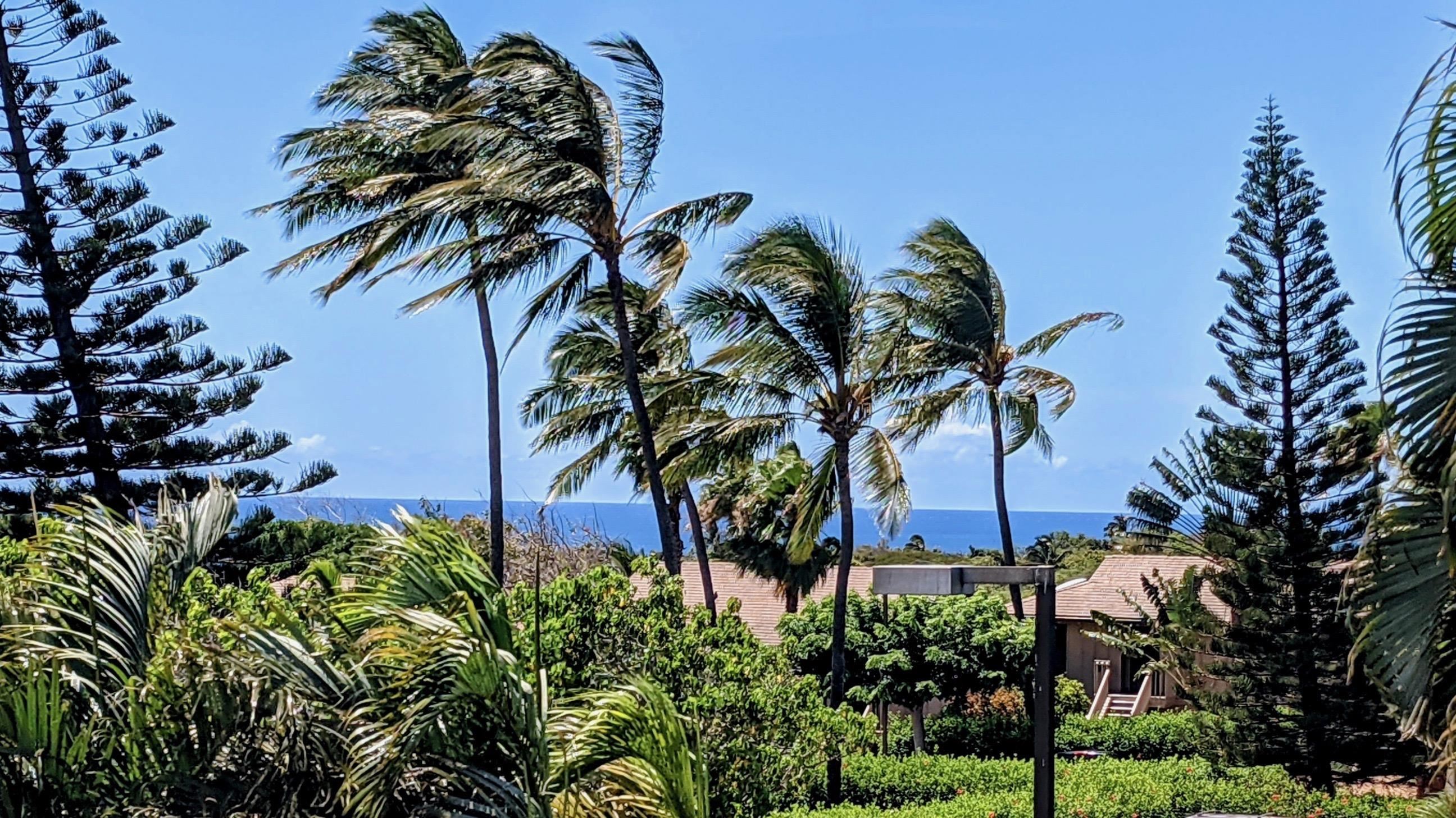 50 Kepuhi Pl, 238, Maunaloa, HI 96770