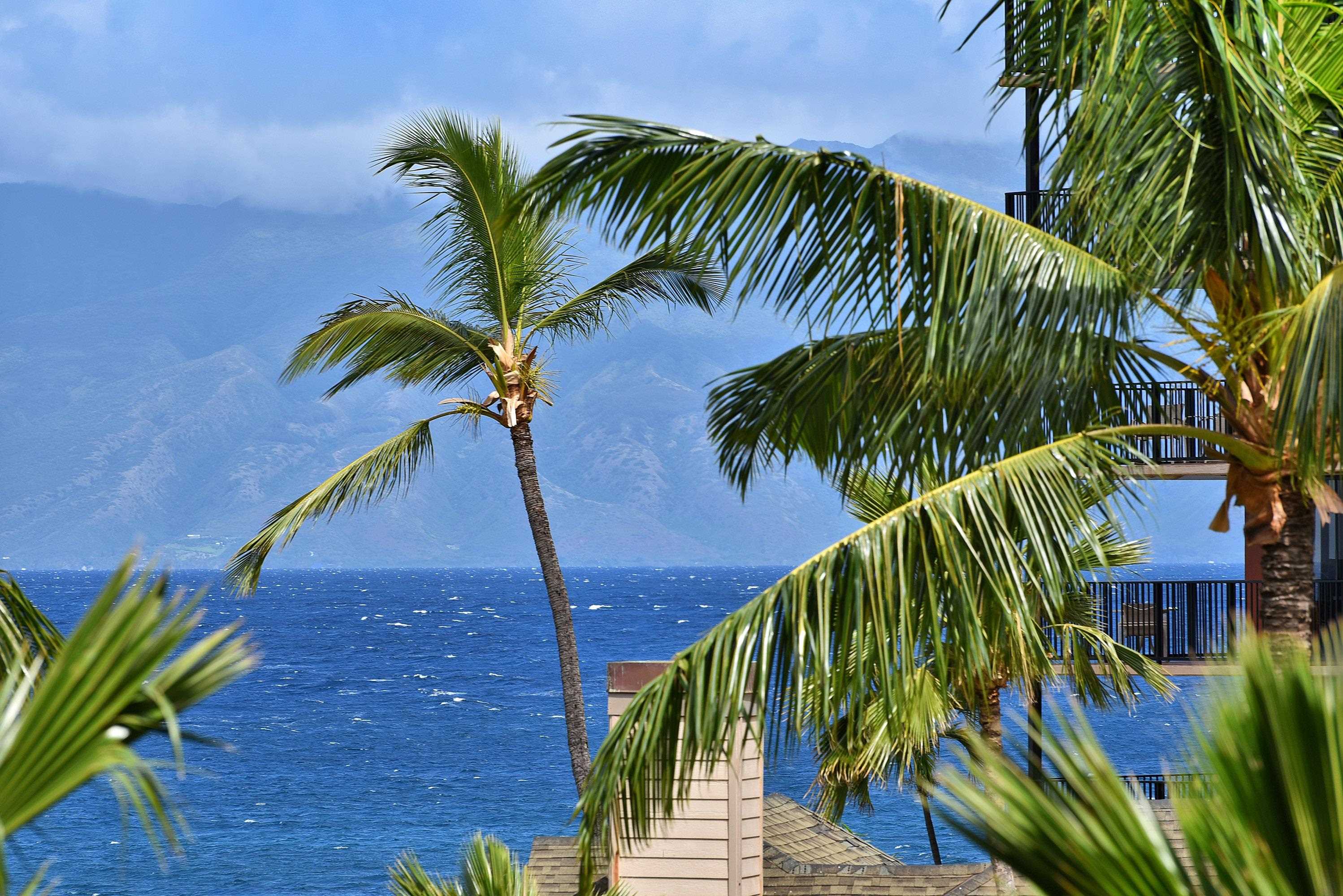 3445 Lower Honoapiilani Rd, 450, Lahaina, HI 96761