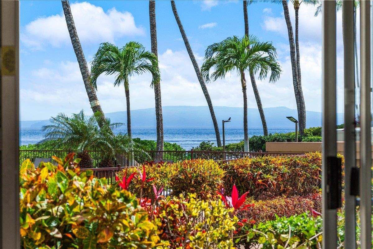 150 Hauoli St, 103, Wailuku, HI 96793