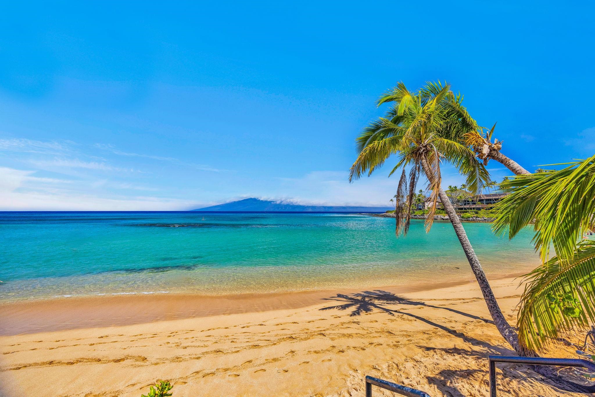 65 Hui Rd H , 8, Lahaina, HI 96761
