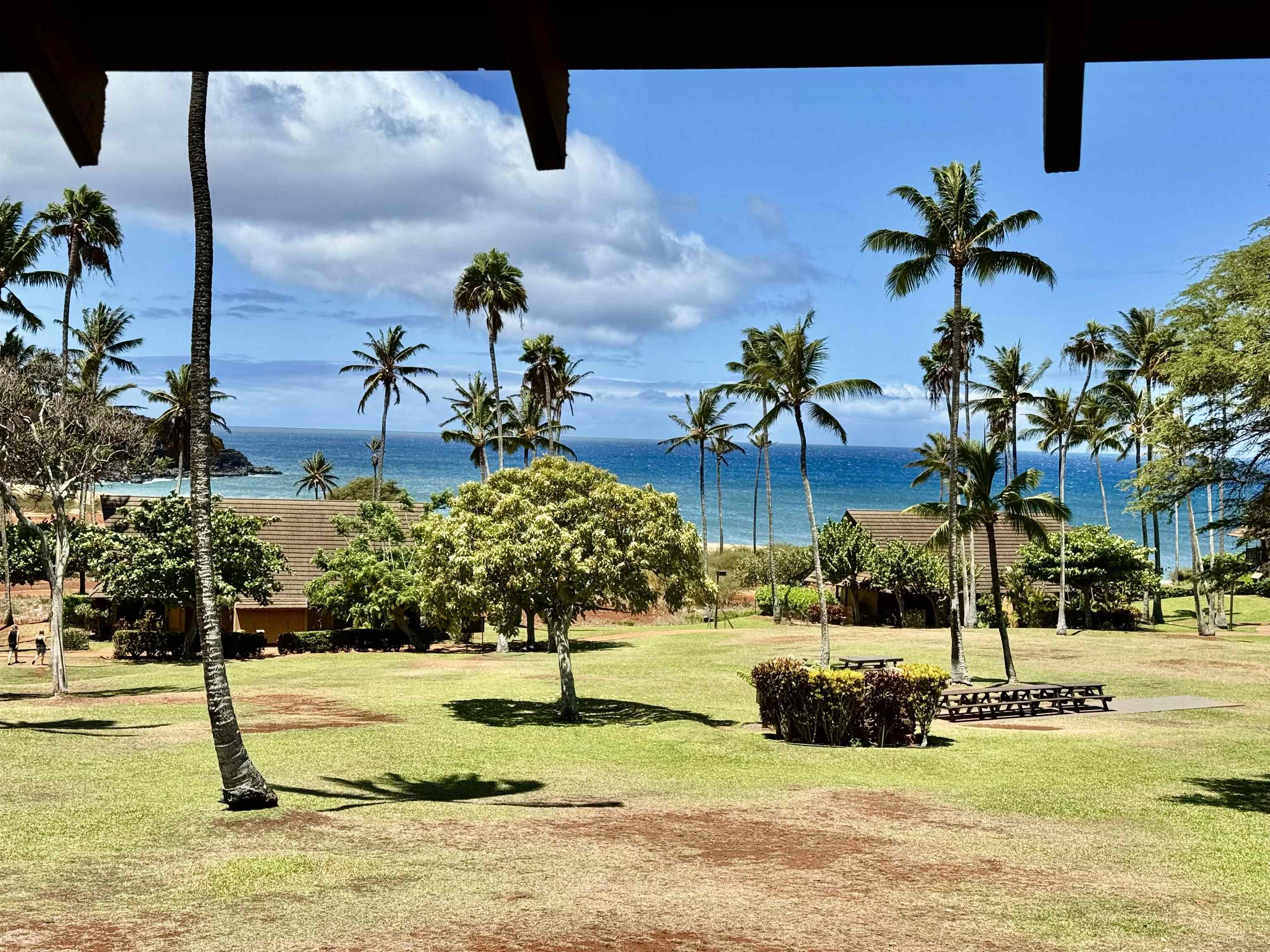 255 Kepuhi Pl, 20B09-2143, Maunaloa, HI 96770