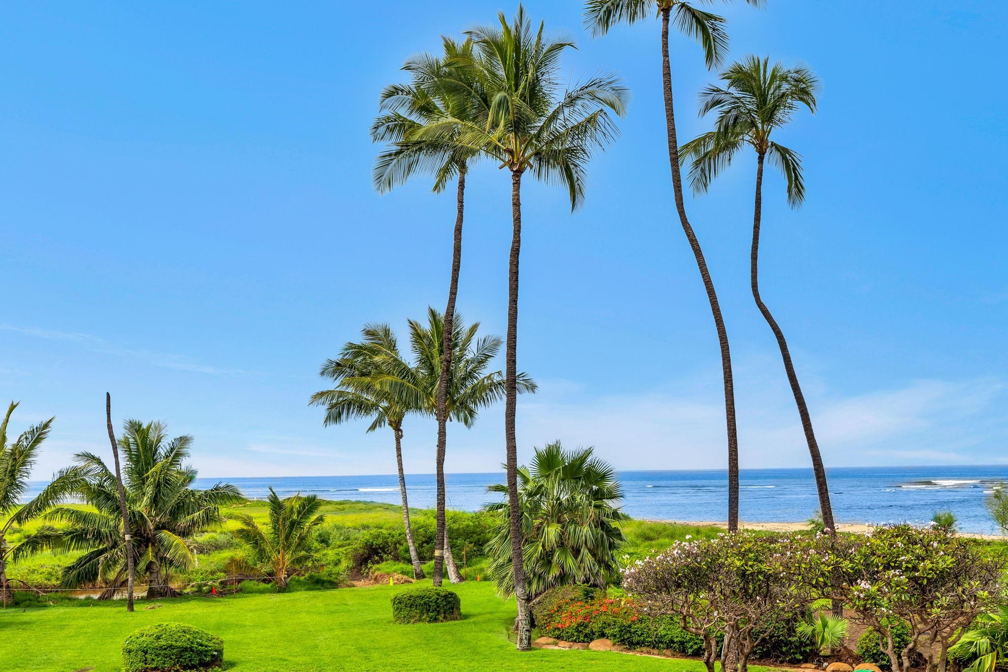 800 Kihei Rd, 206, Kihei, HI 96753