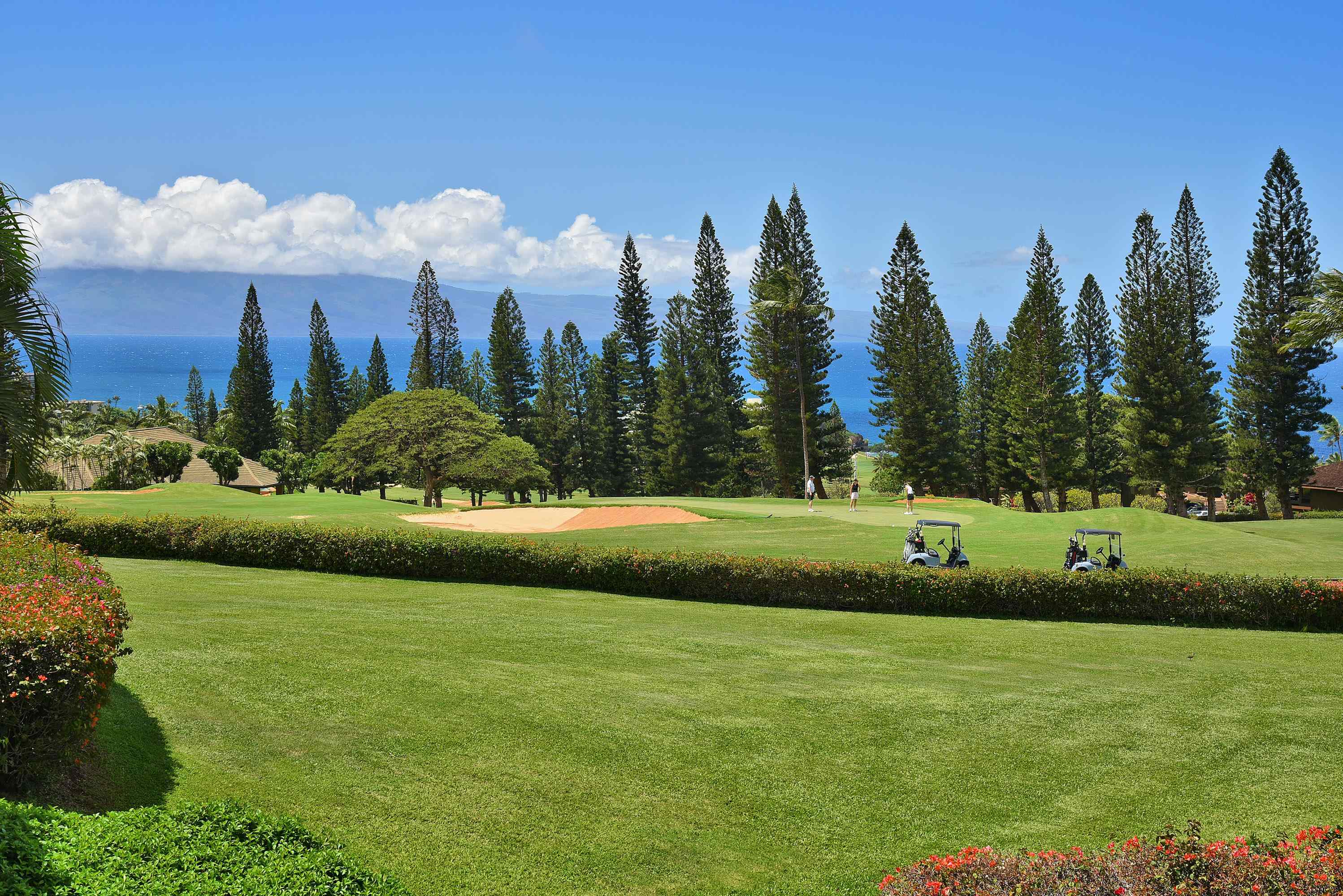 50 Puu Anoano St, 2206, Lahaina, HI 96761