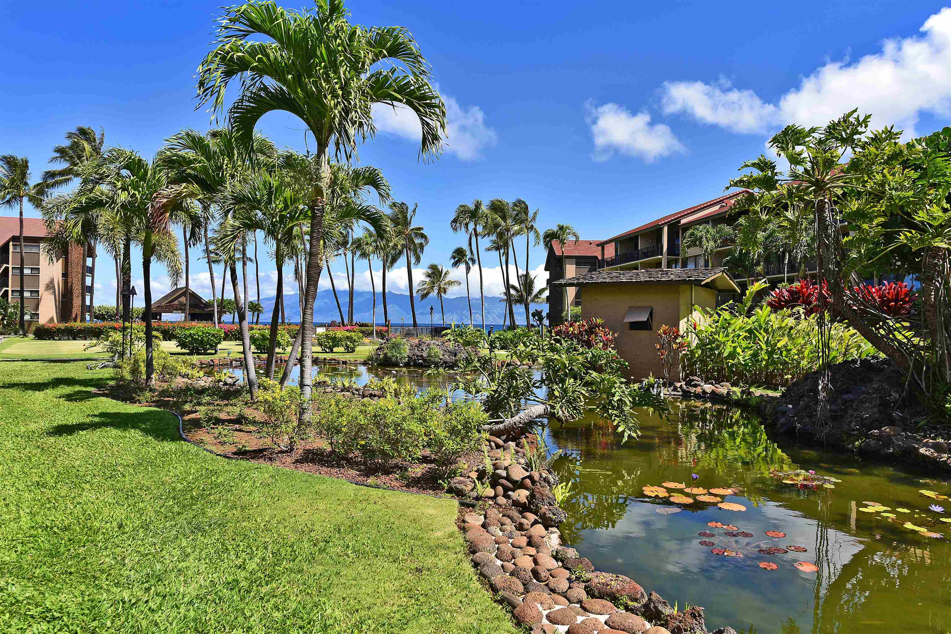 3543 Lower Honoapiilani Rd, J105, Lahaina, HI 96761