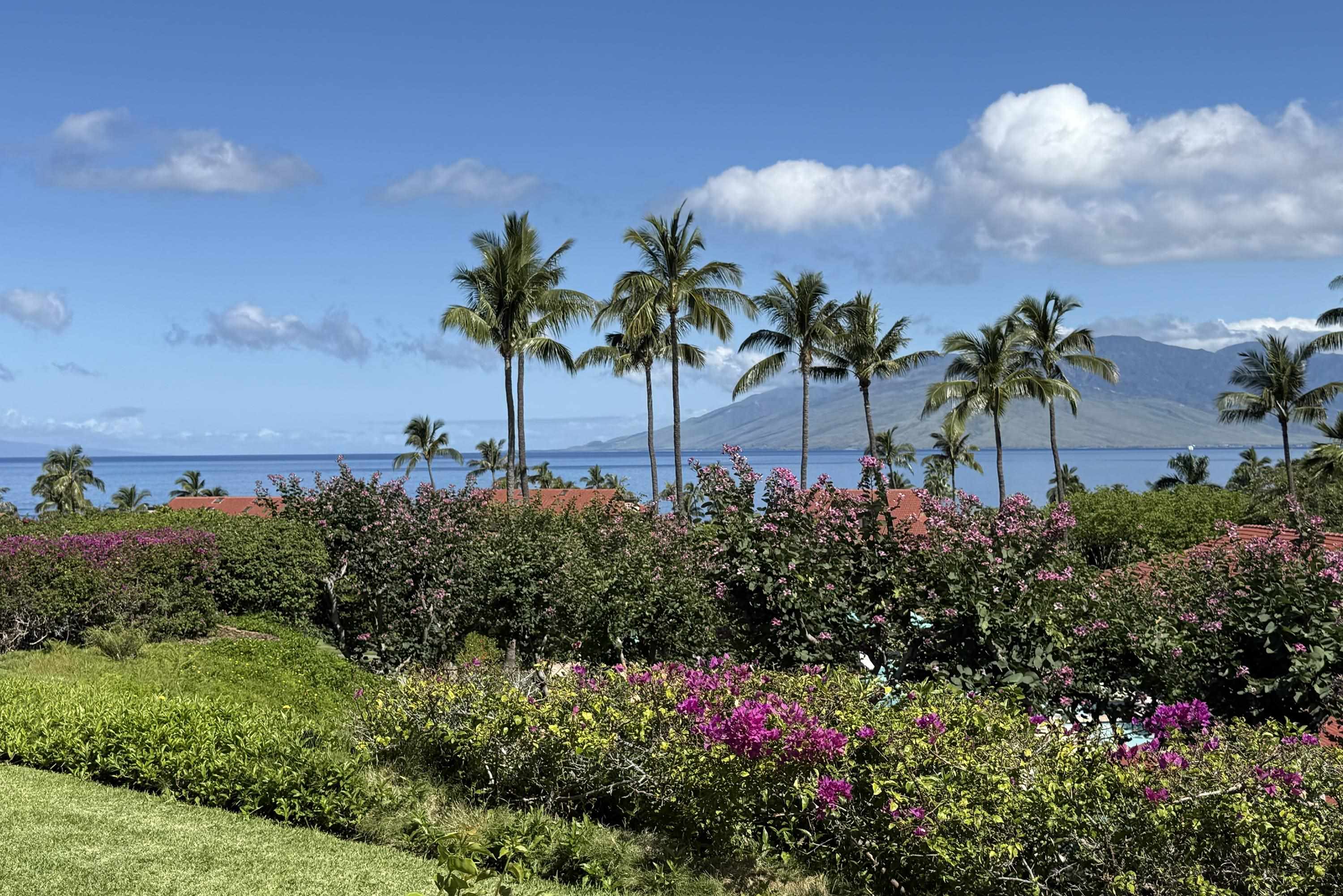 4000 Wailea Alanui Dr, 2101, Kihei, HI 96753