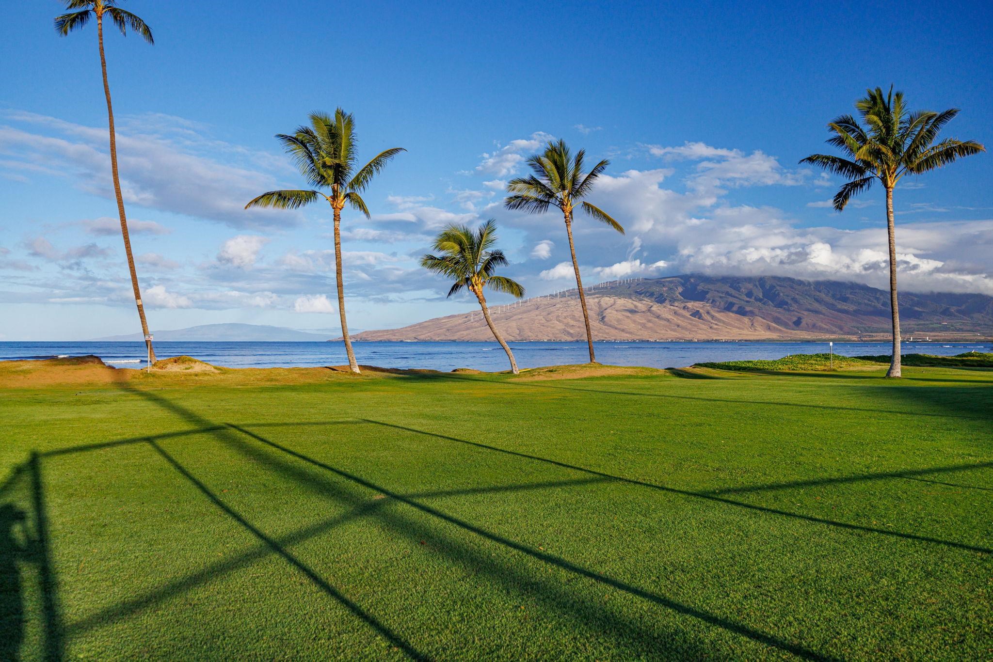 938 Kihei Rd, 505, Kihei, HI 96753