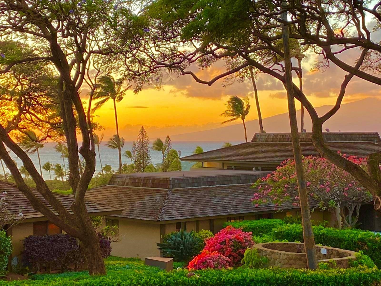 150 Puukolii Rd, 15, Lahaina, HI 96761