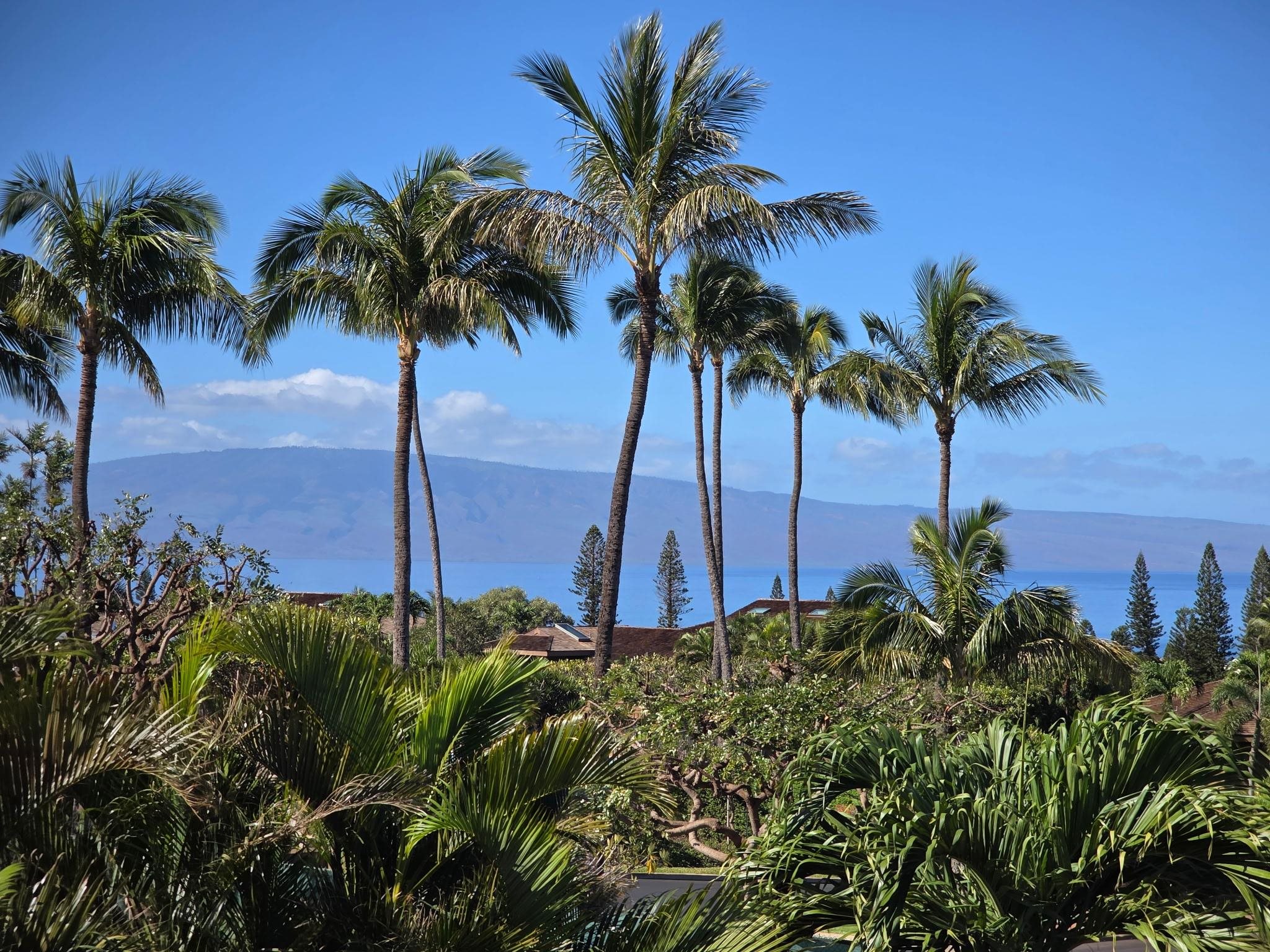 Upcoming 5 of bedrooms 4 of bathrooms Open house in Kaanapali on 5/3 @ 12:00PM-4:00PM listed at $2,349,000