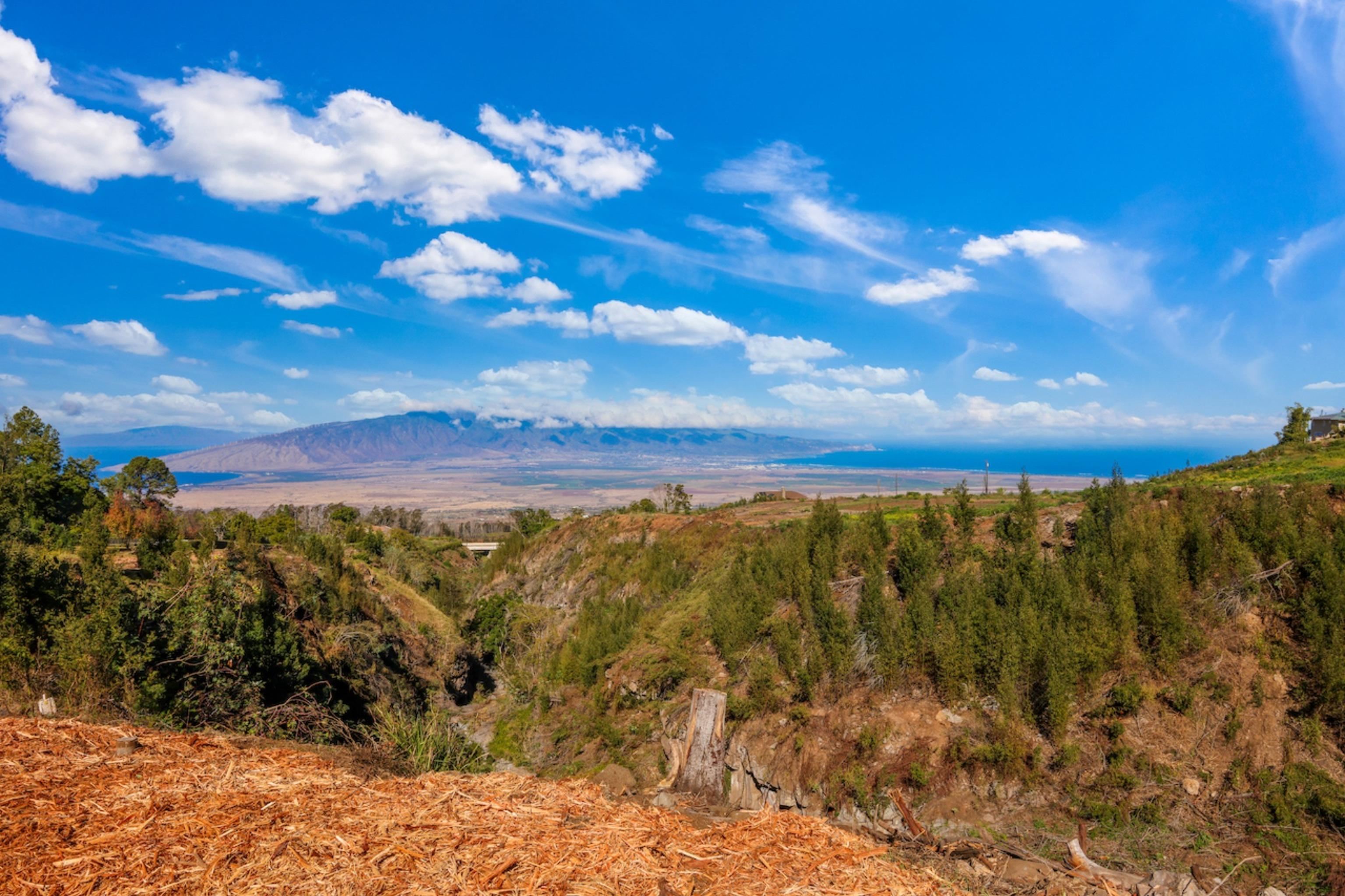 0 Haleakala Hwy, unit 1, Kula, HI 96790