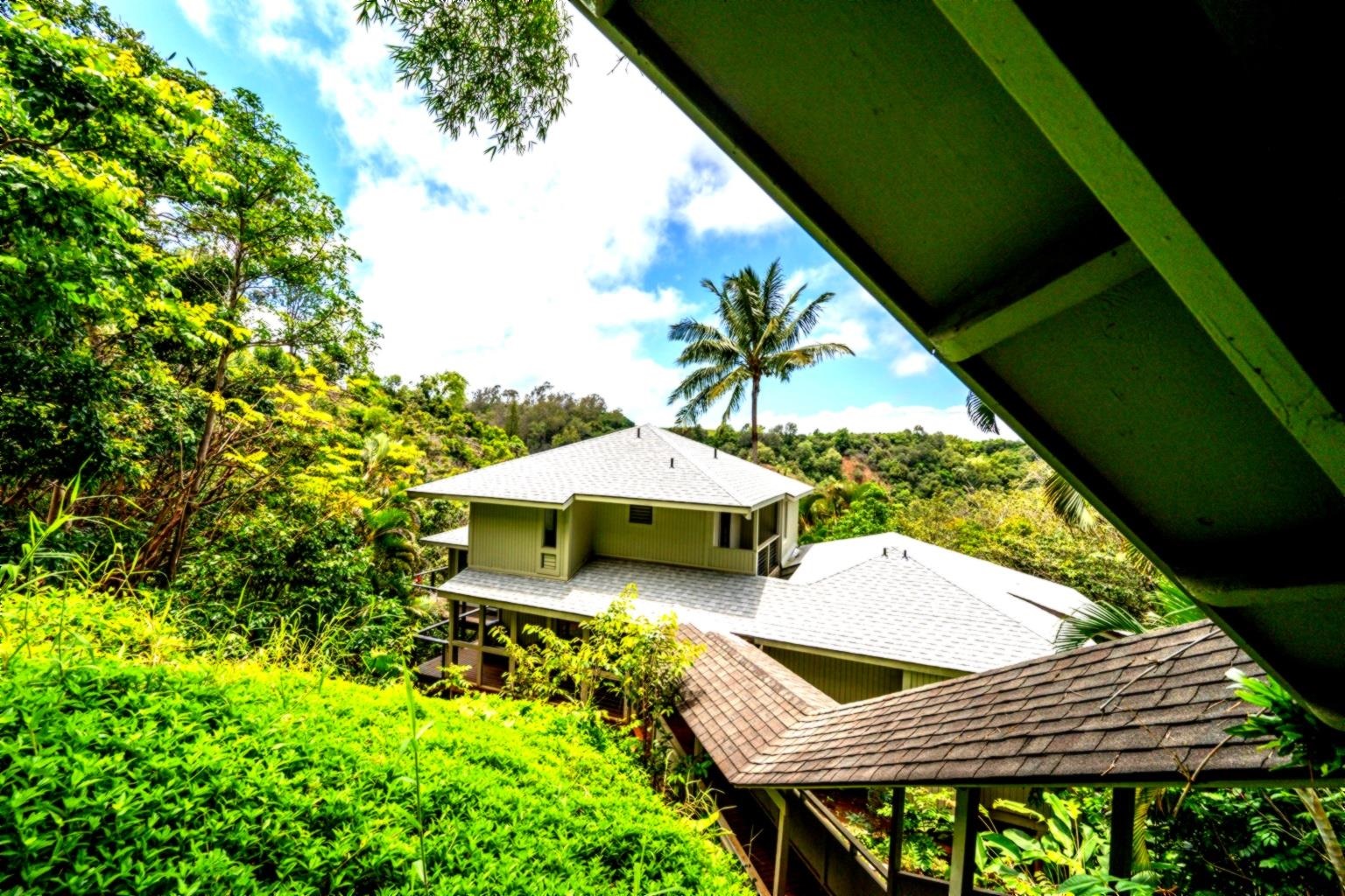 1640 Kokomo Rd, Haiku, HI 96708