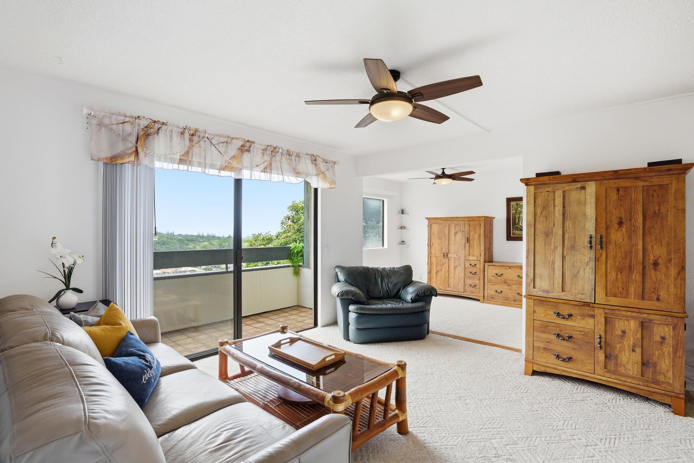 2180 Vineyard St, 204, Wailuku, HI 96793