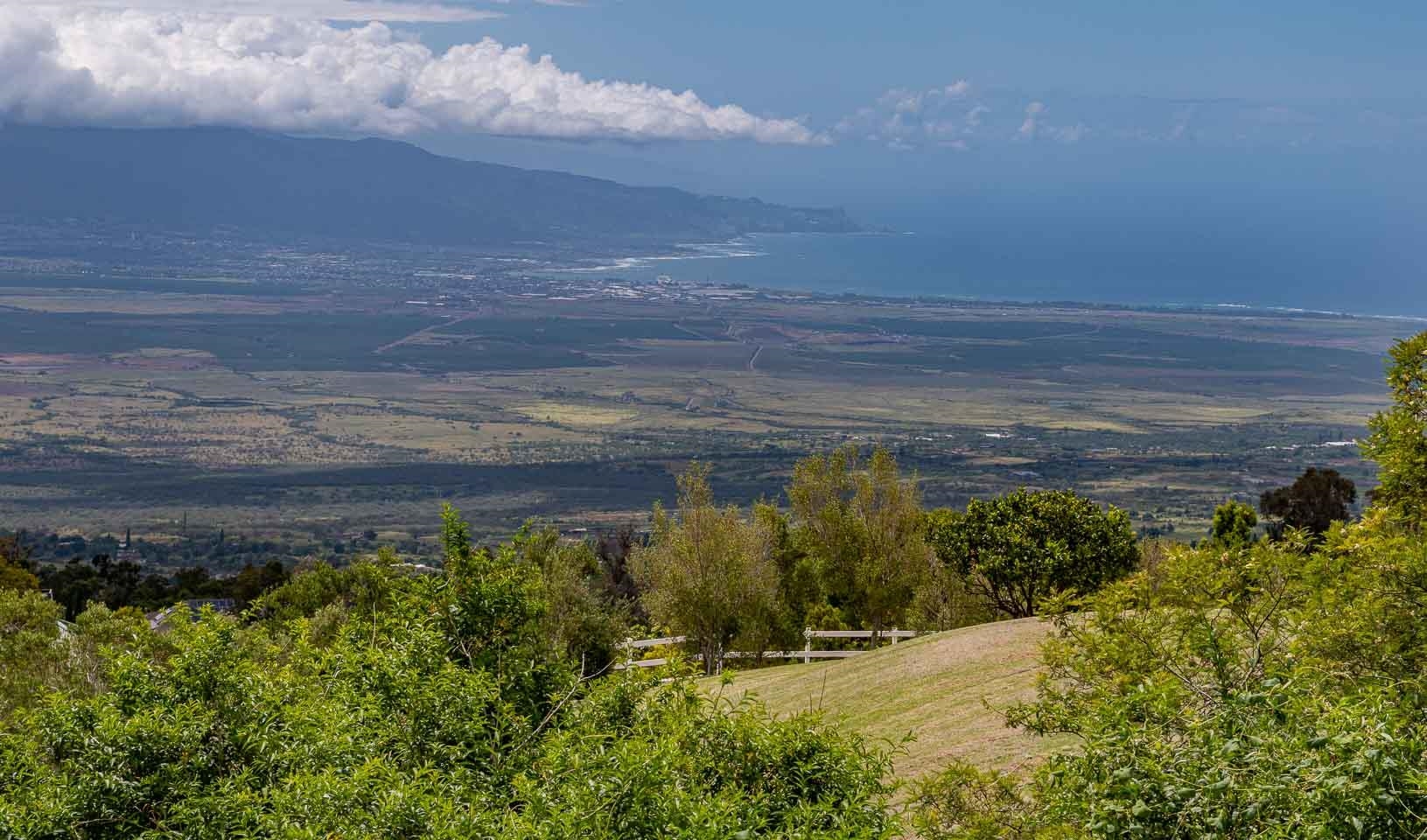 20 Kuulani St, Kula, HI 96768-8929