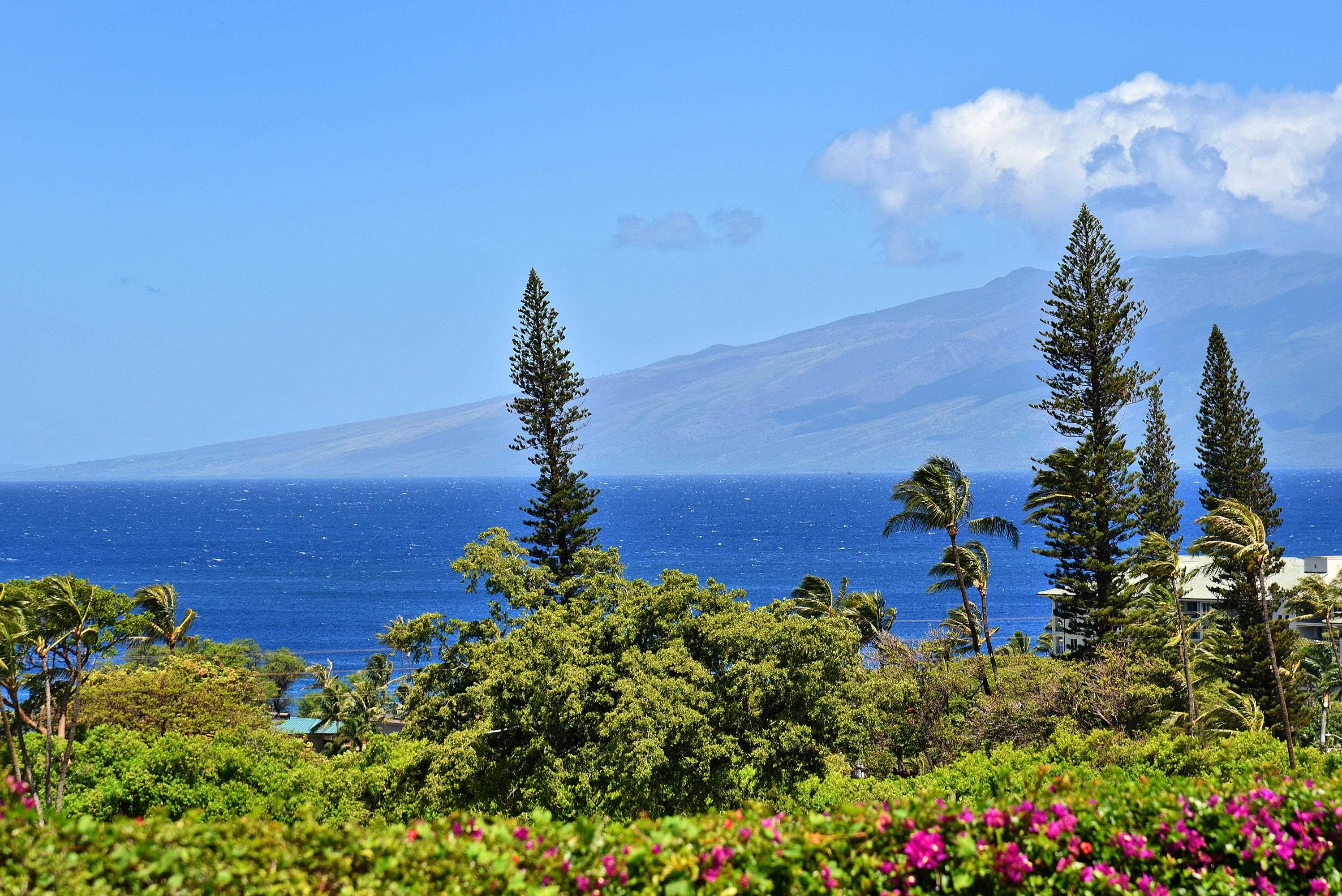 50 Puu Anoano St, 603, Lahaina, HI 96761