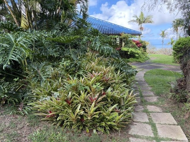 767 Holopunii Rd, Kula, HI 96790