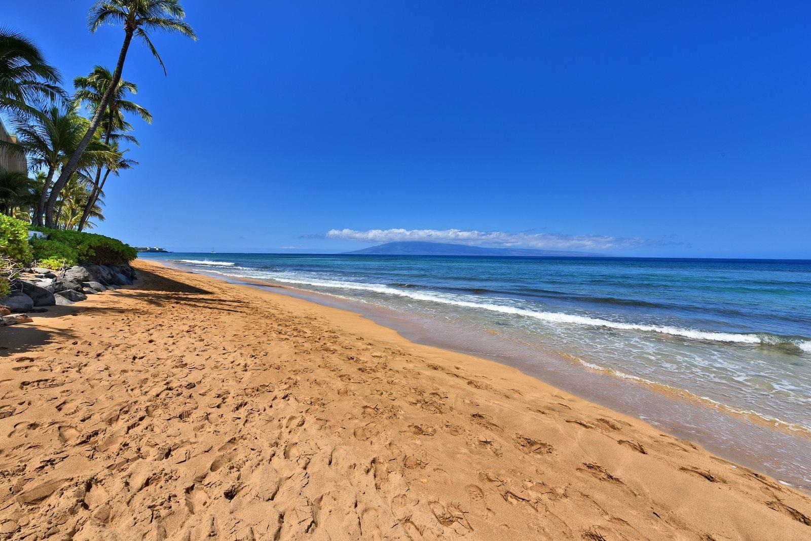 106 Kaanapali Shores Pl, 801, Lahaina, HI 96761