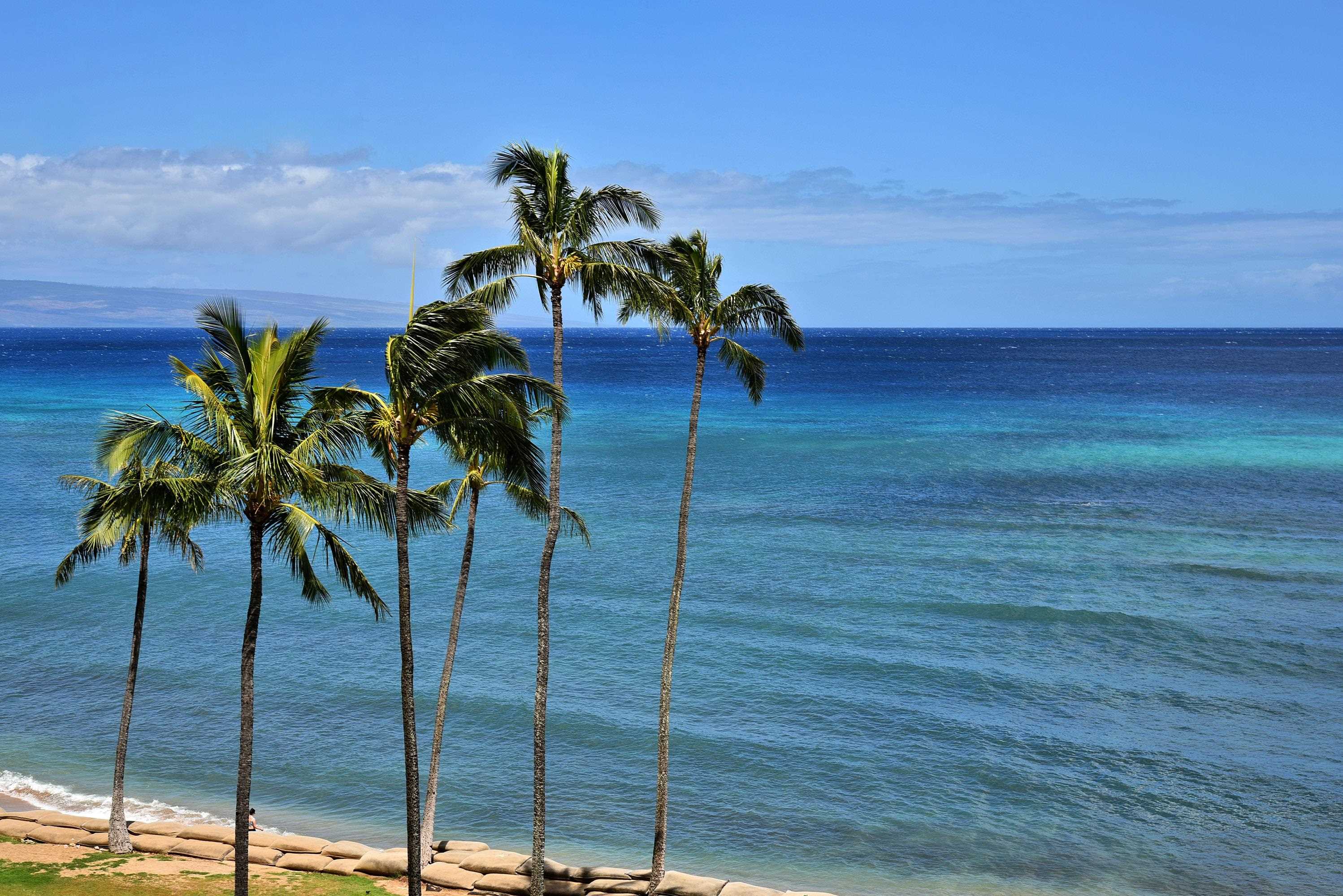 4365 Lower Honoapiilani Rd, 618, Lahaina, HI 96761