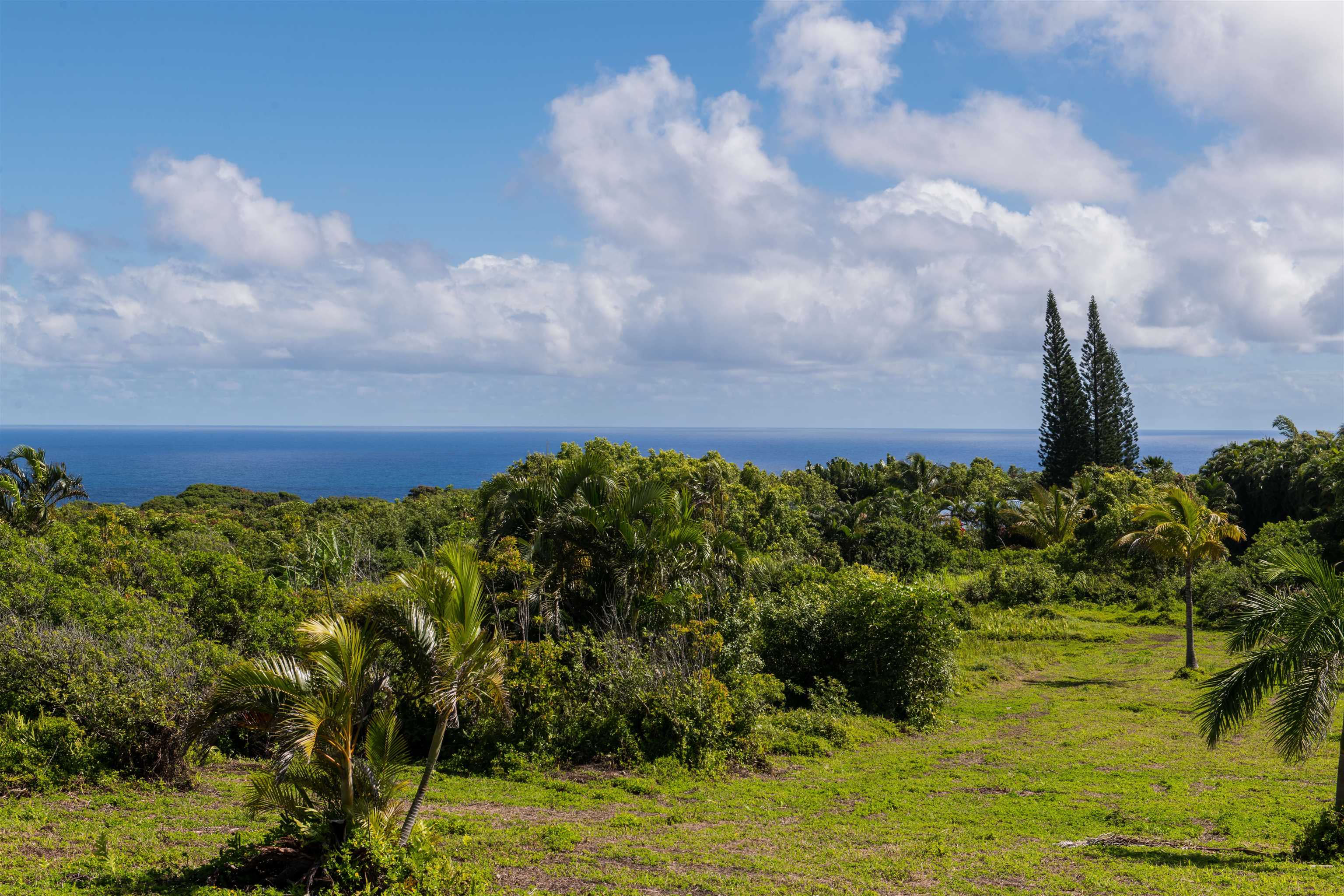 601 Honokala Rd, A, Haiku, HI 96708-0000