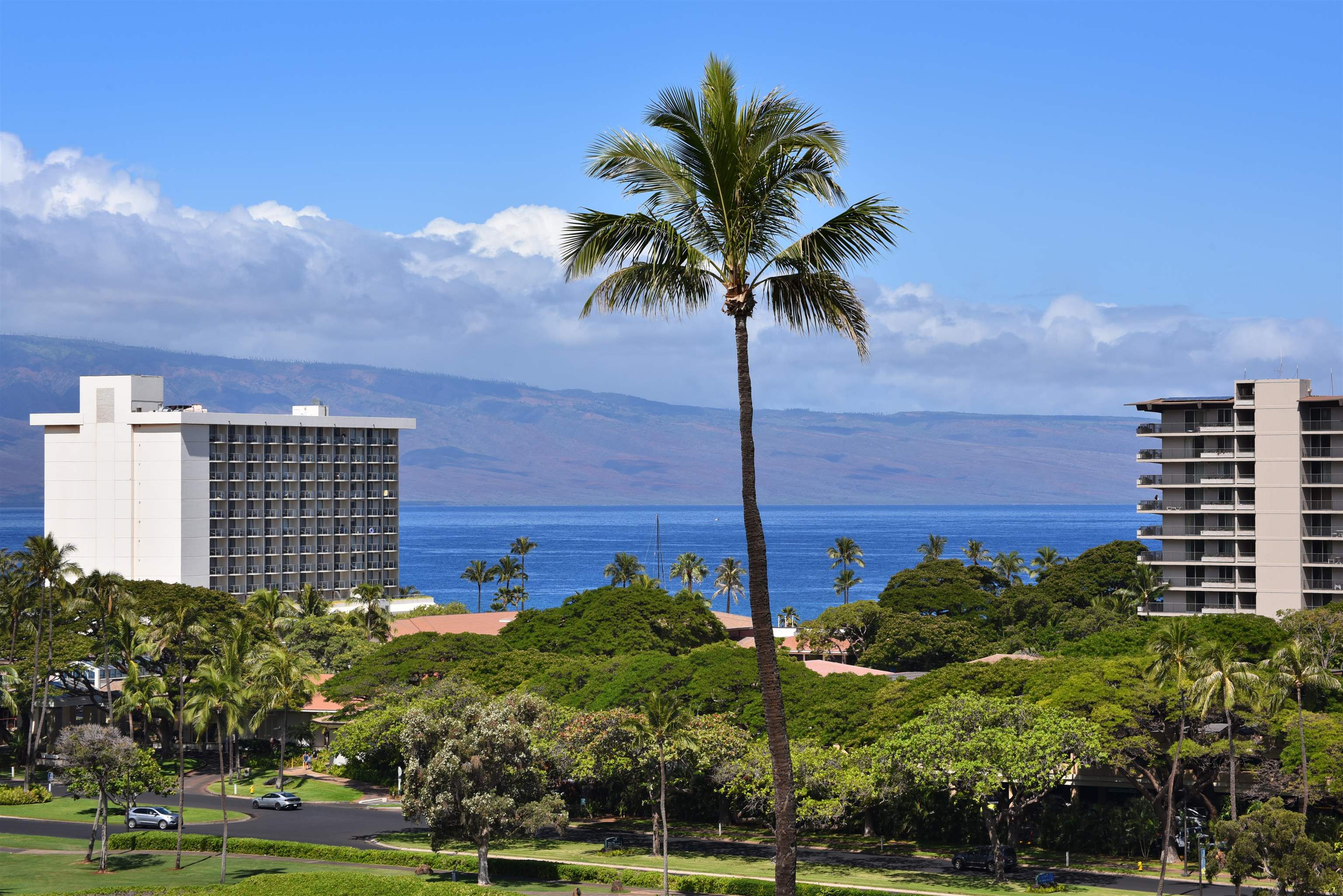 2560 Kekaa Dr, N302, Lahaina, HI 96761
