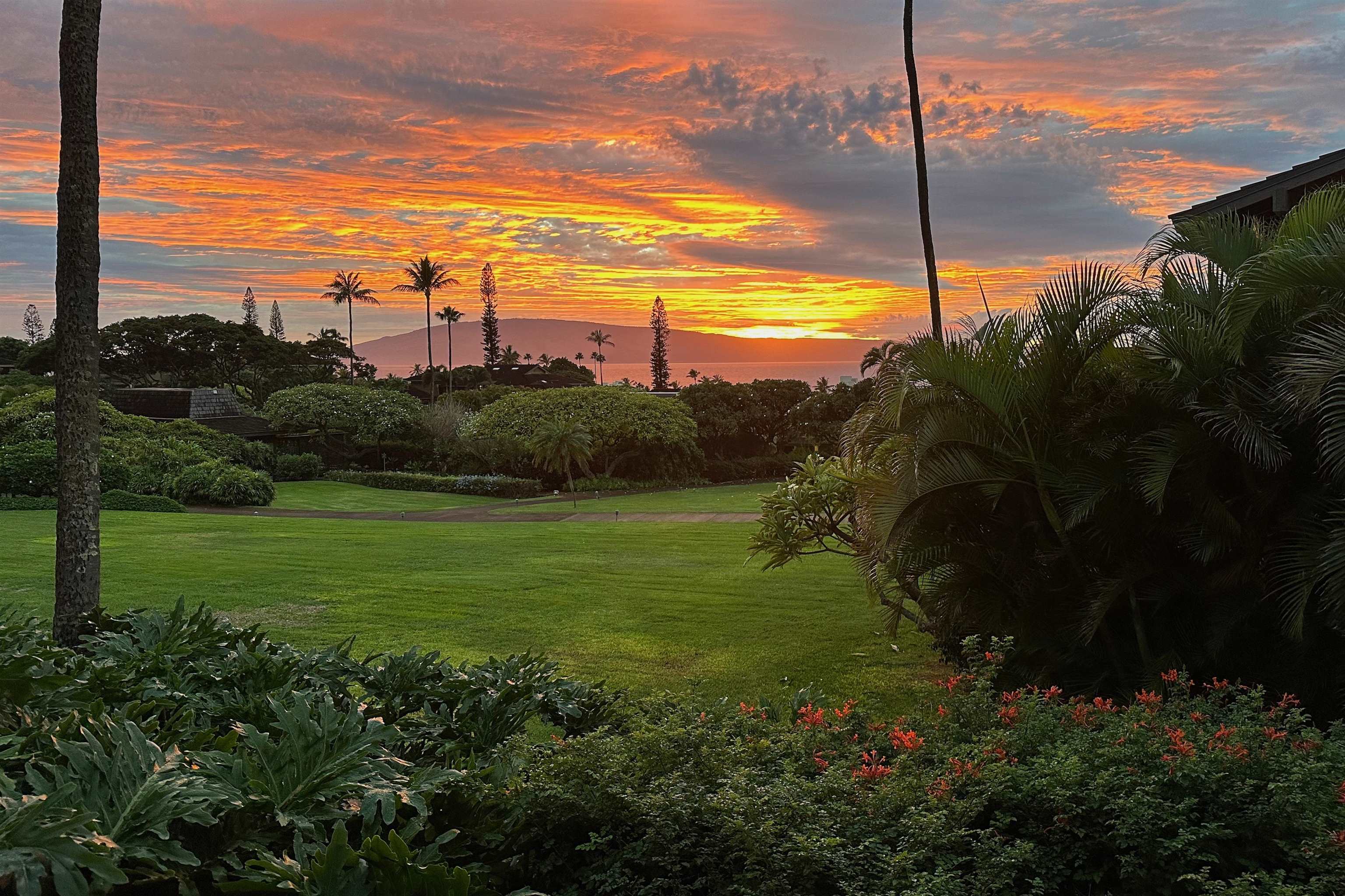150 Puukolii Rd, 43, Lahaina, HI 96761