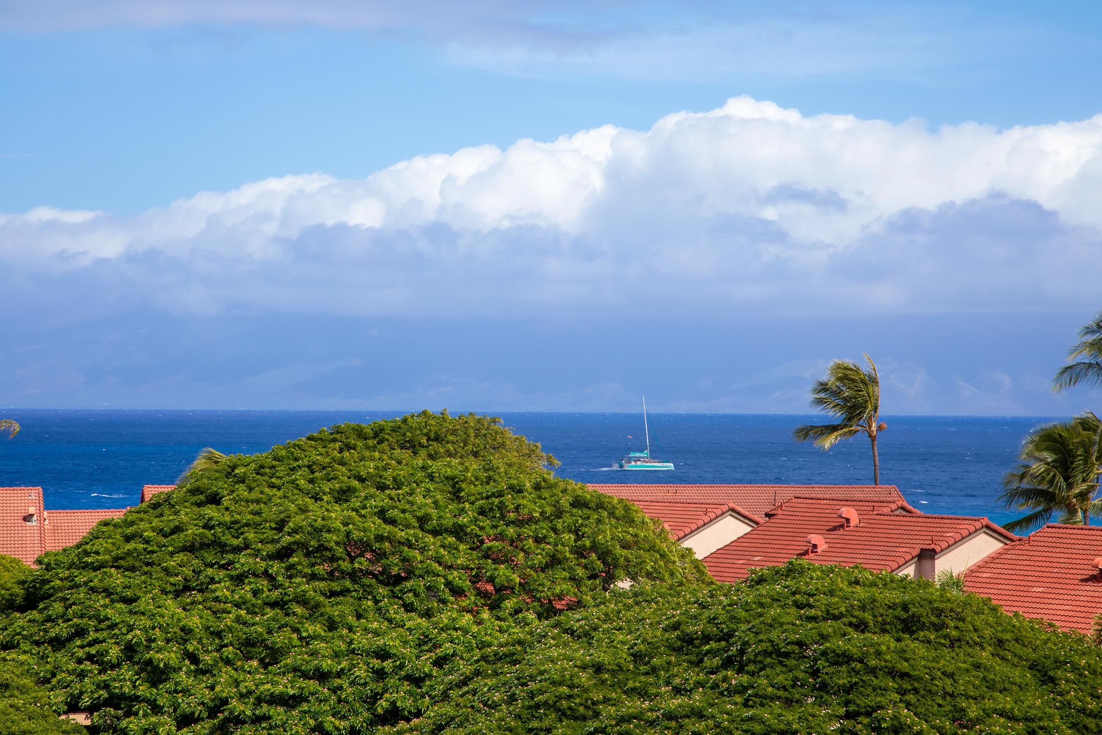 3445 Lower Honoapiilani Rd, 732, Lahaina, HI 96761