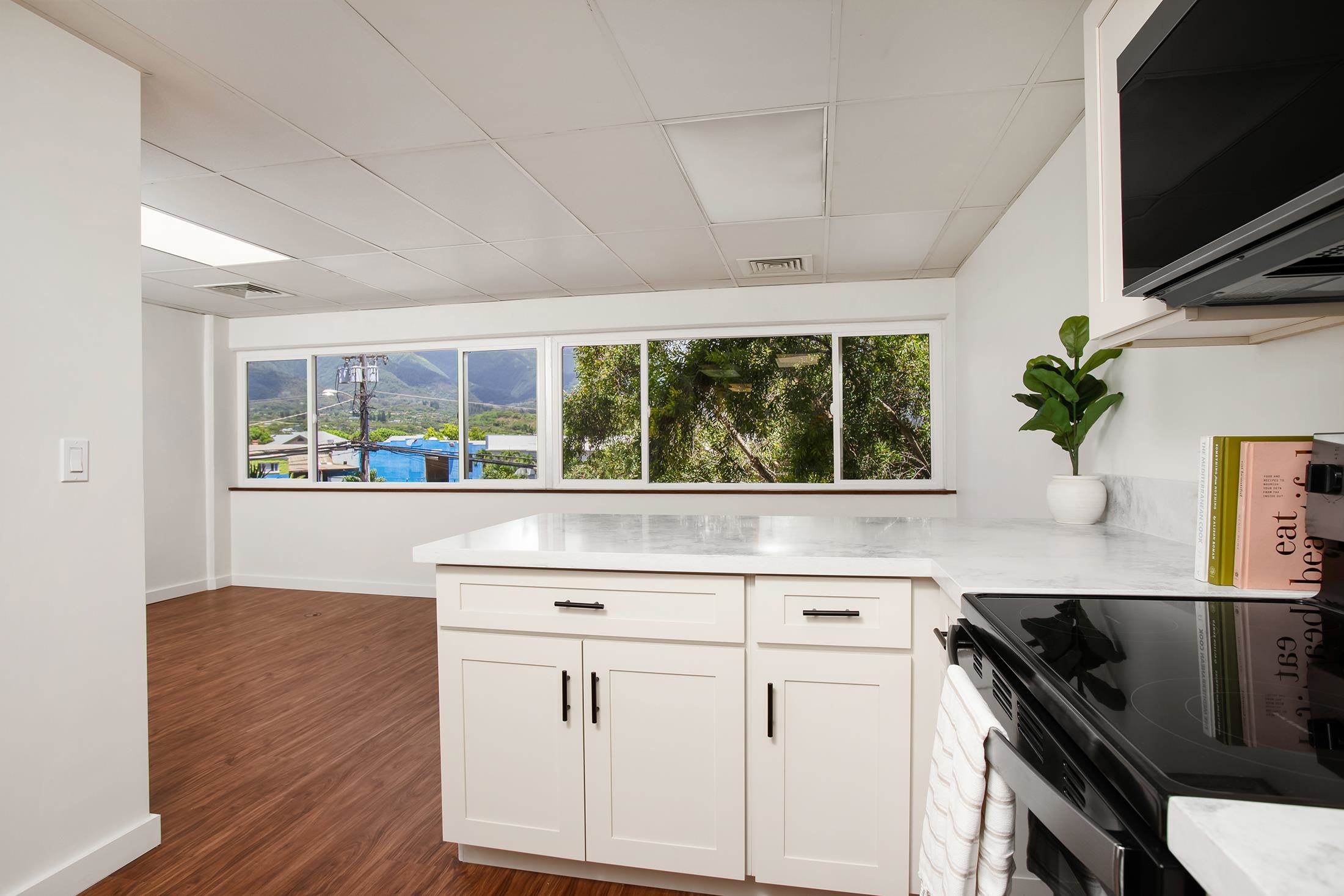 1129 Lower Main St, 206, Wailuku, HI 96793