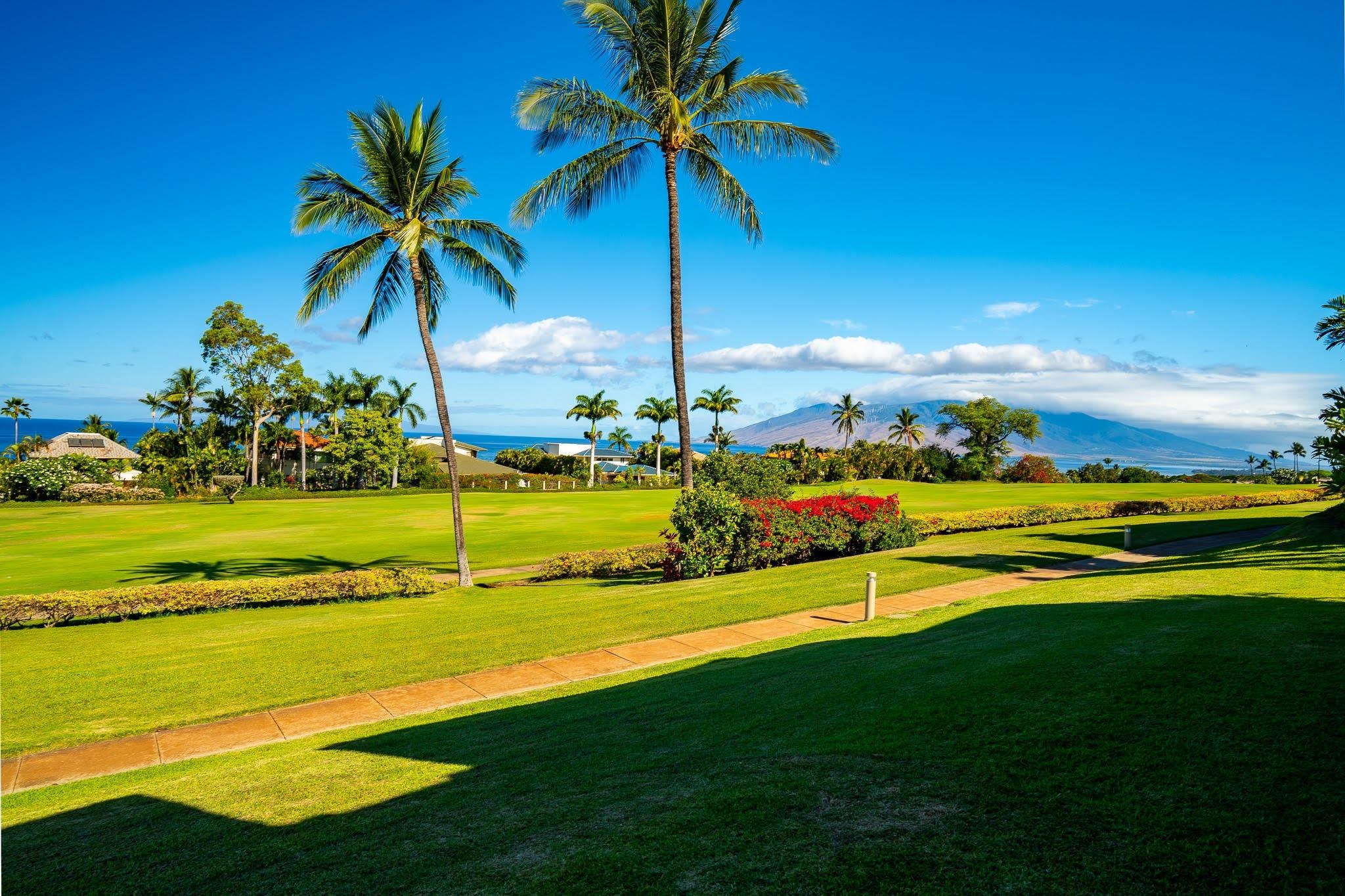 3950 Kalai Waa St, R102, Kihei, HI 96753