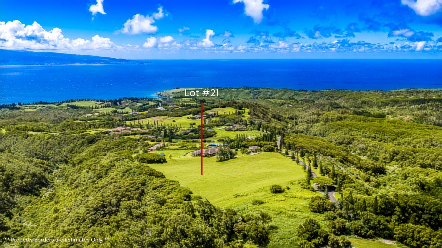 238 Keoawa Pl, Lot 21, Lahaina, HI 96761