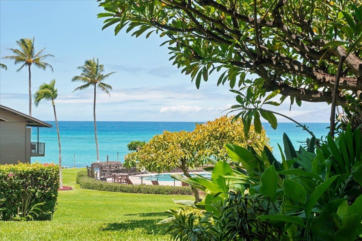 3975 Lower Honoapiilani Rd, 115, Lahaina, HI 96761