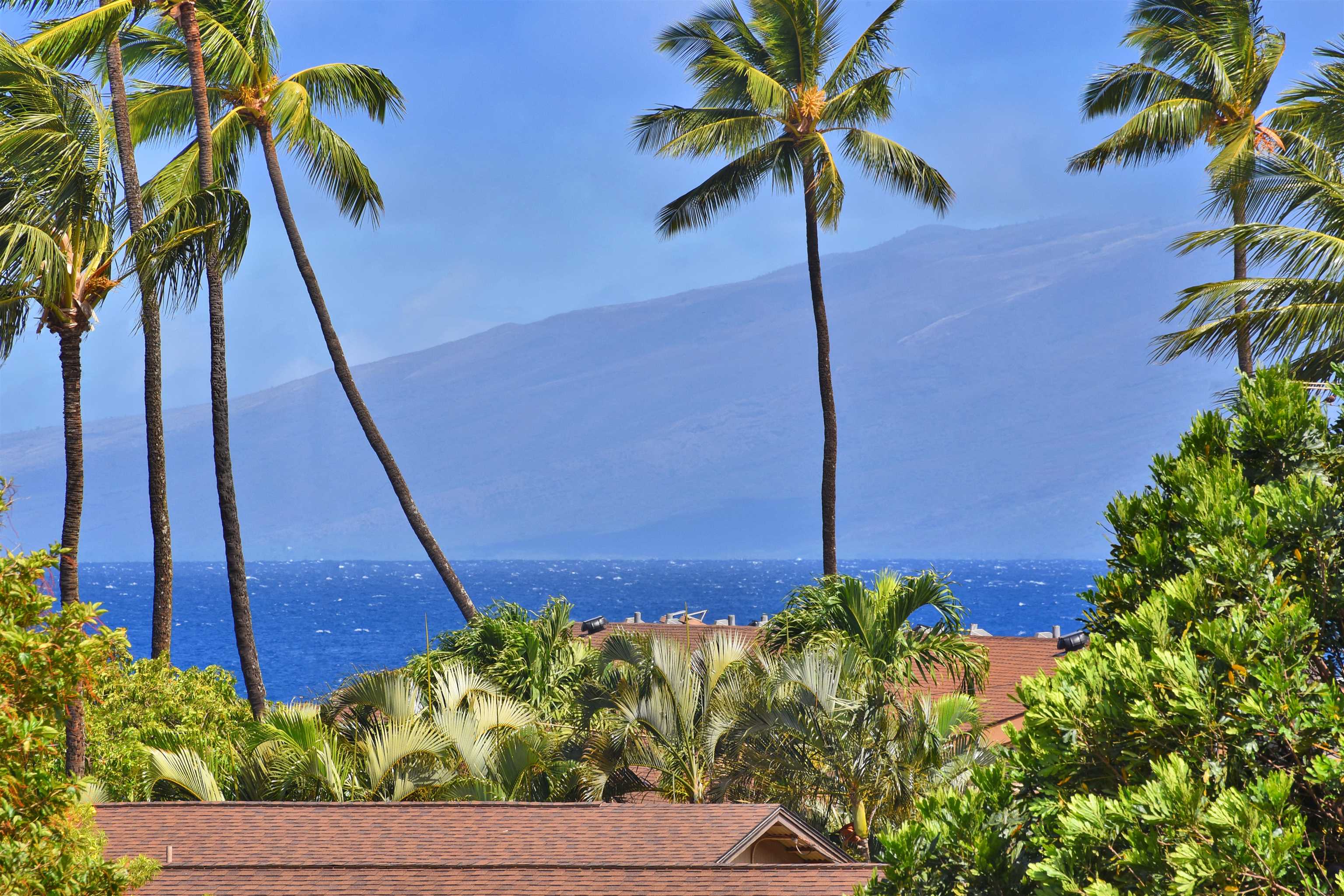 3660 Lower Honoapiilani Rd, 302, Lahaina, HI 96761