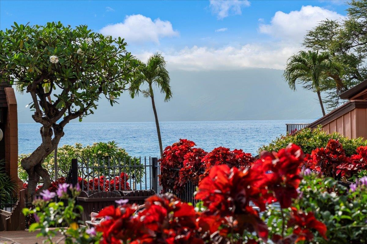 3959 Lower Honoapiilani Rd, 302, Lahaina, HI 96761