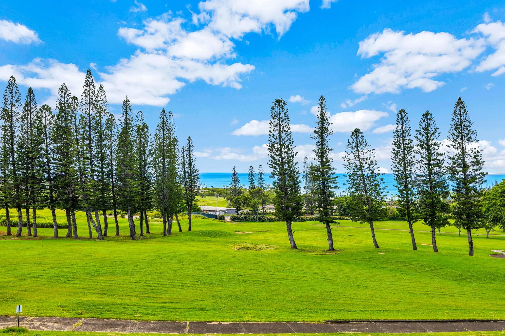 500 Kapalua Dr, 26T 5-6, Lahaina, HI 96761