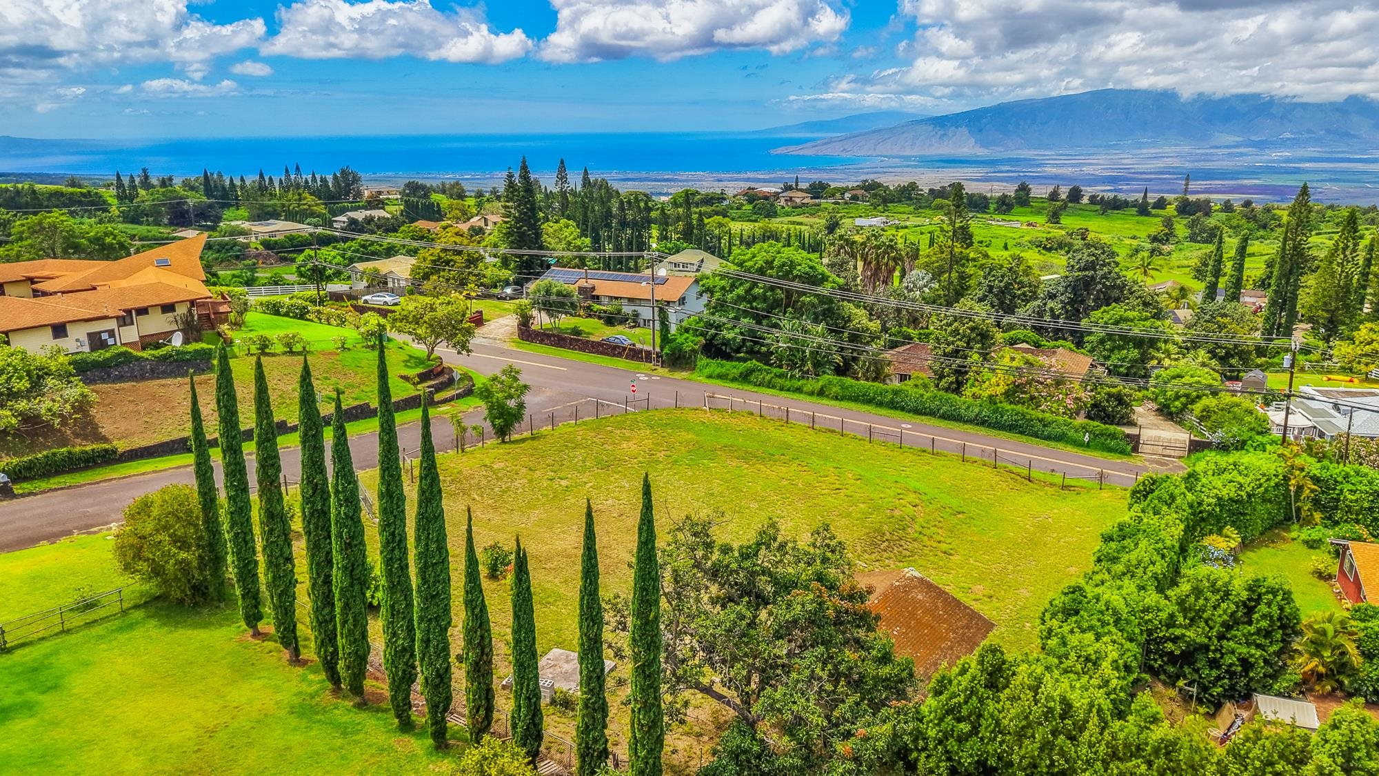 11 Akea Pl, Kula, HI 96790