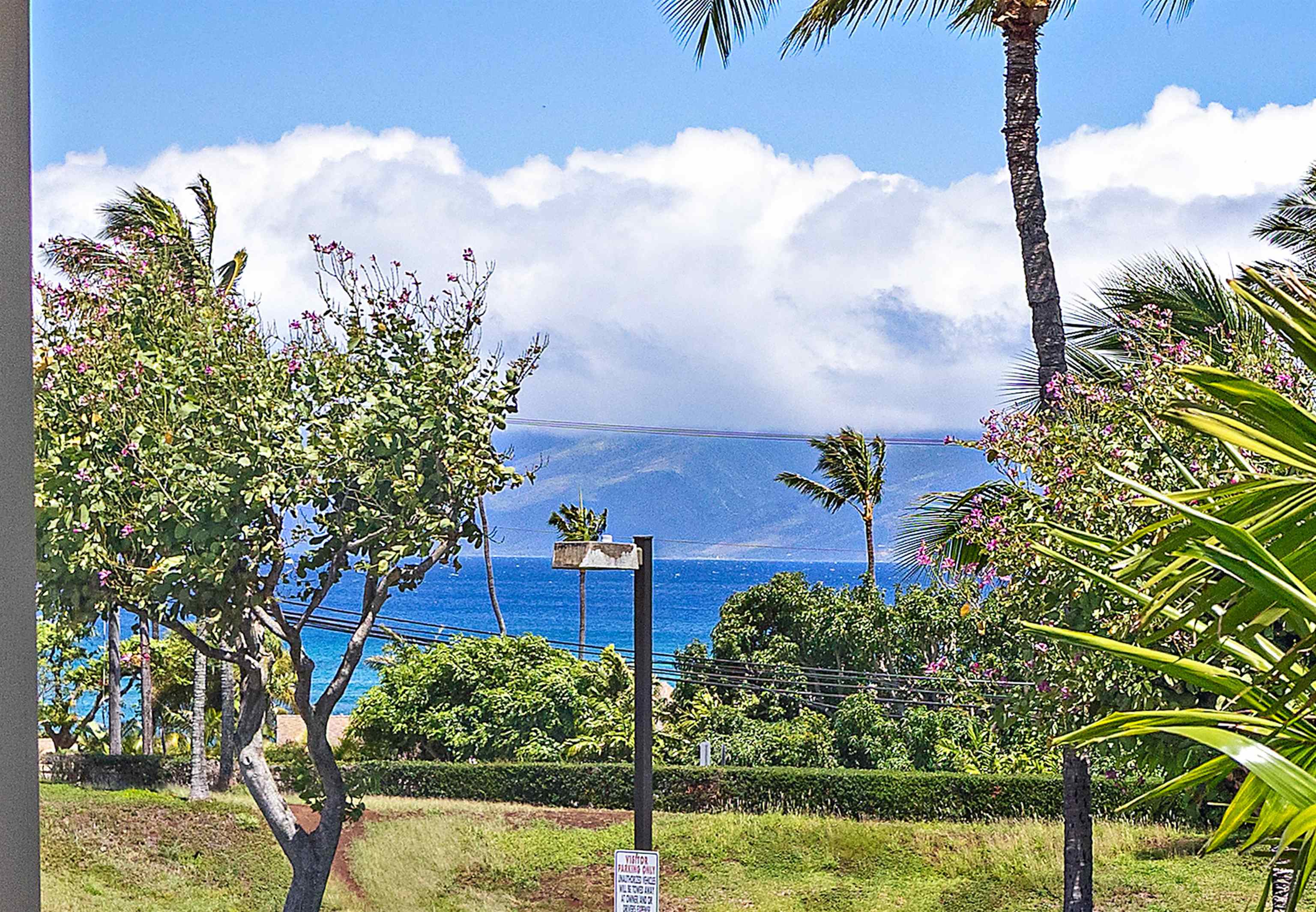10 Polohina Ln, 2-3, Lahaina, HI 96761