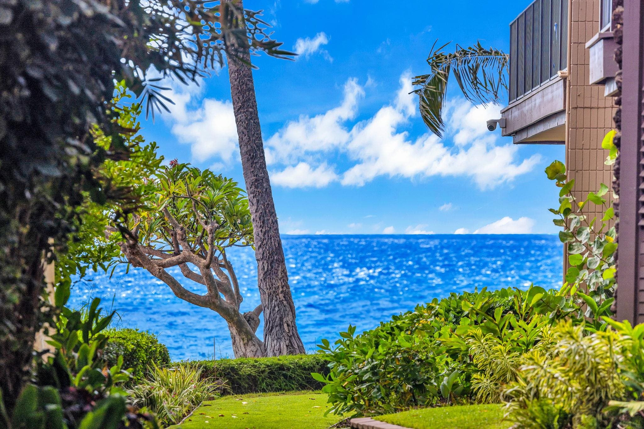 2994 Kihei Rd, 104, Kihei, HI 96753