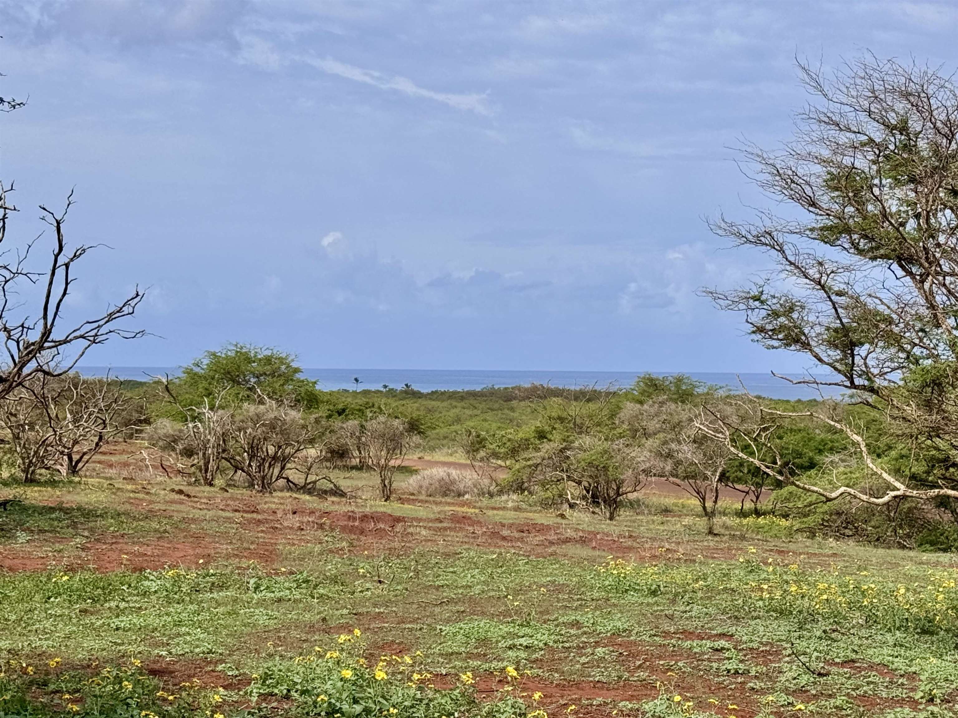 0 Pa Loa Loop, 232, Maunaloa, HI 96770