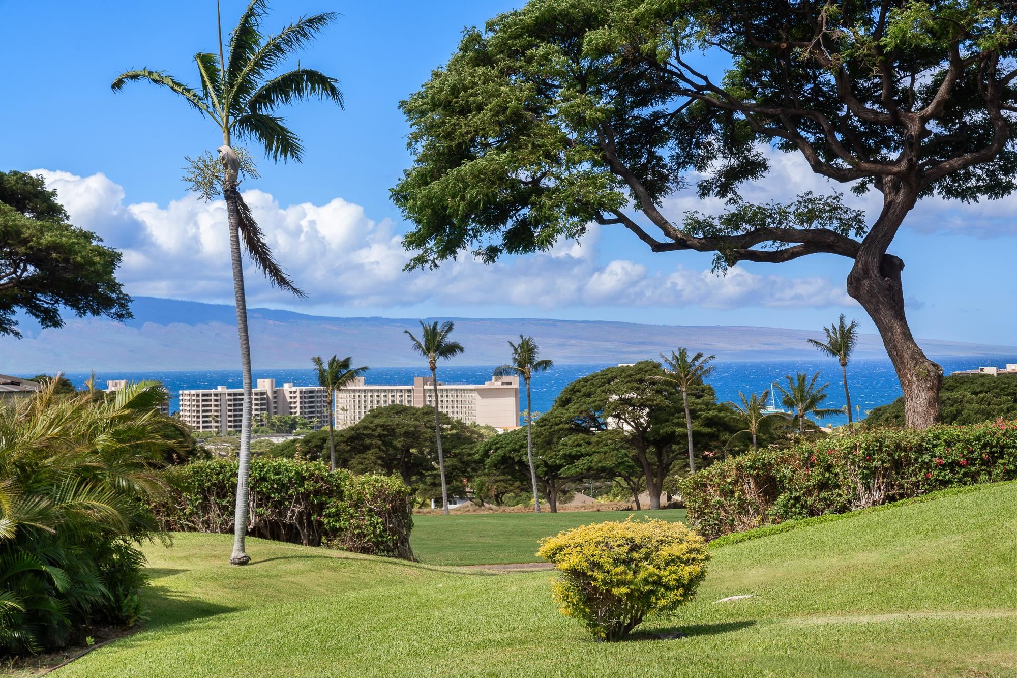 120 Kualapa Pl, Lahaina, HI 96761