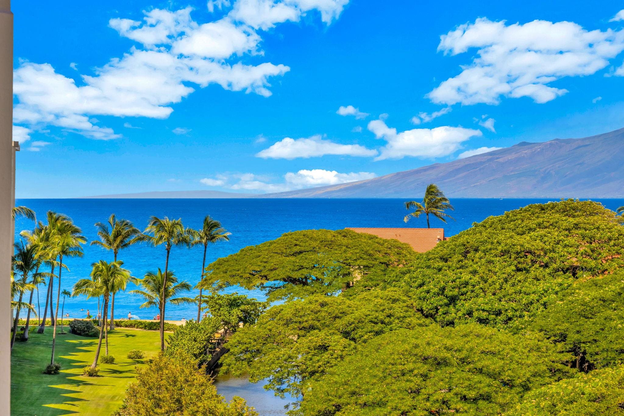 3445 Lower Honoapiilani Rd, 738, Lahaina, HI 96761