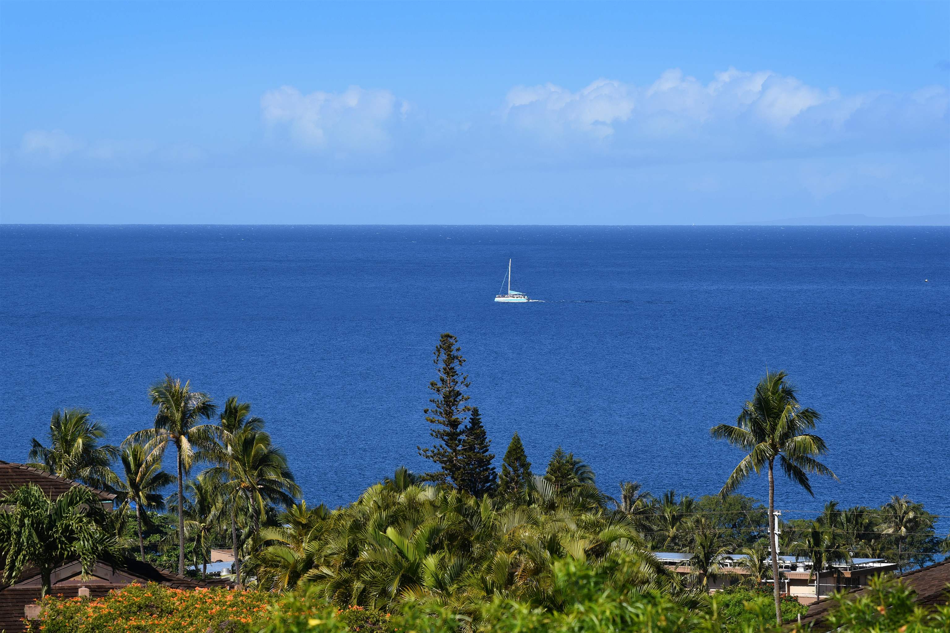 150 Puukolii Rd, 52, Lahaina, HI 96761