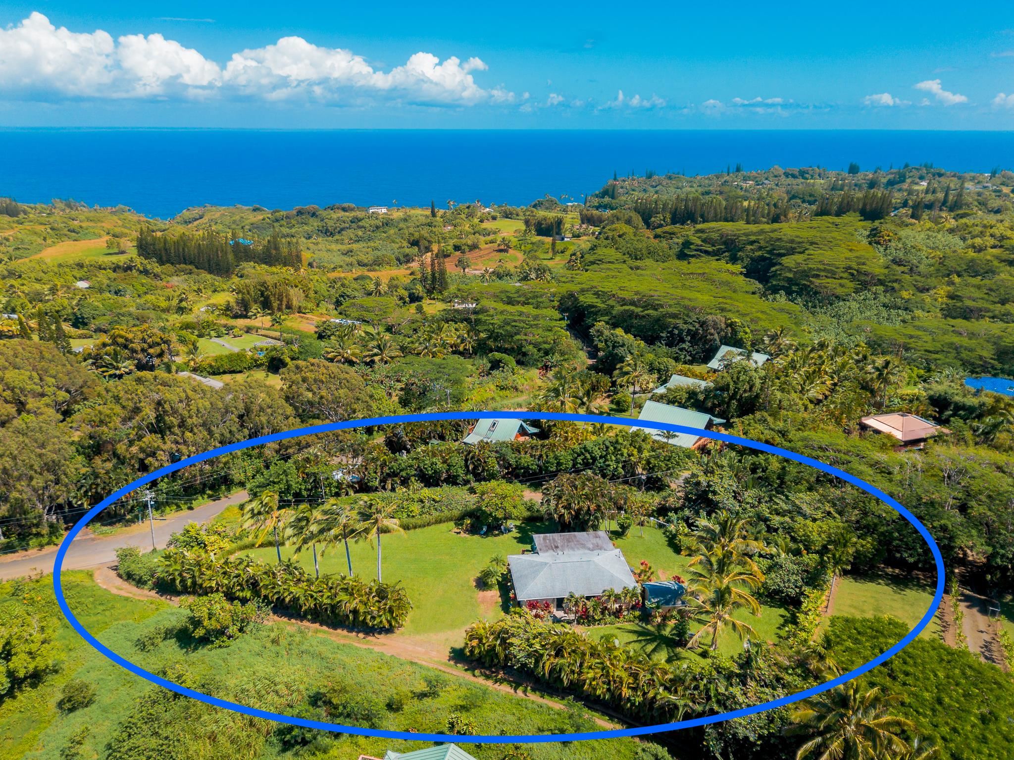 Upcoming 3 of bedrooms 2 of bathrooms Open house in Haiku on 10/25 @ 1:00PM-4:00PM listed at $1,285,000